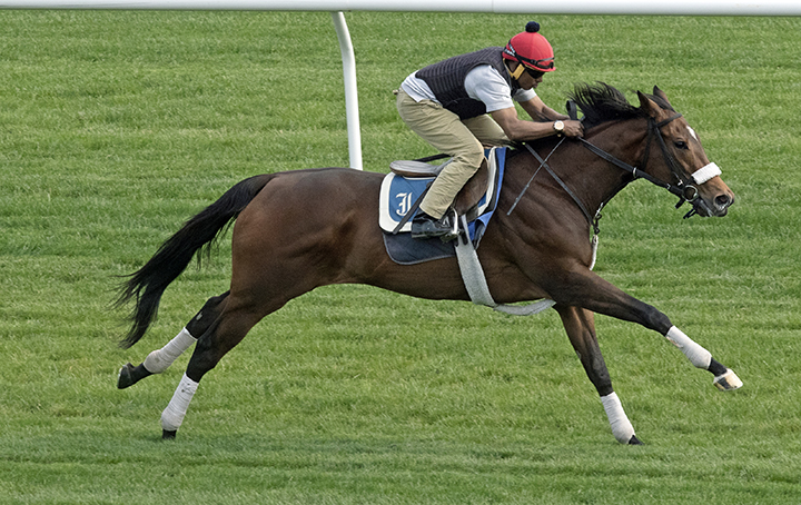 Holy Helena works at Belmont on June 1