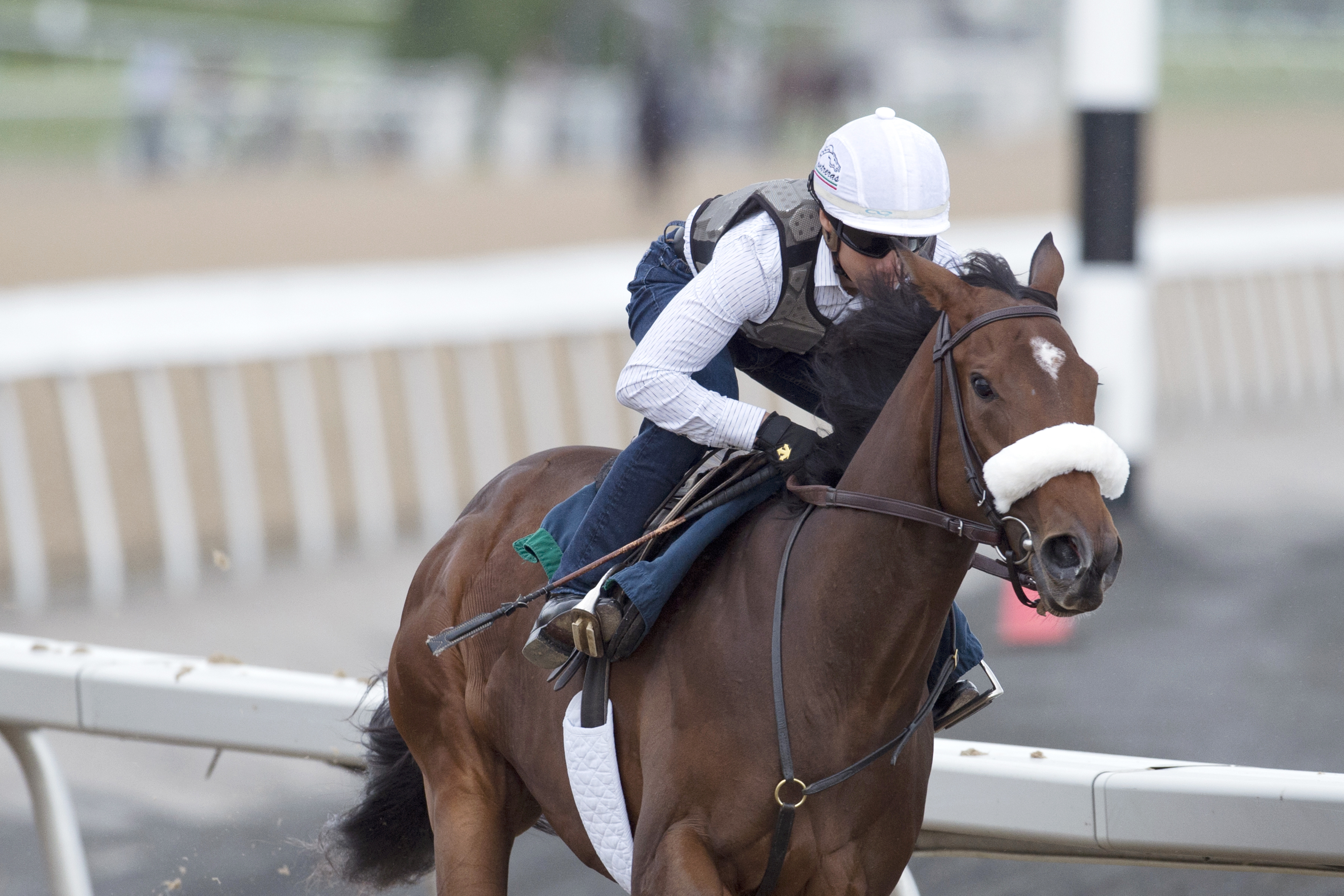 Holy Helena trains at Woodbine on June 26