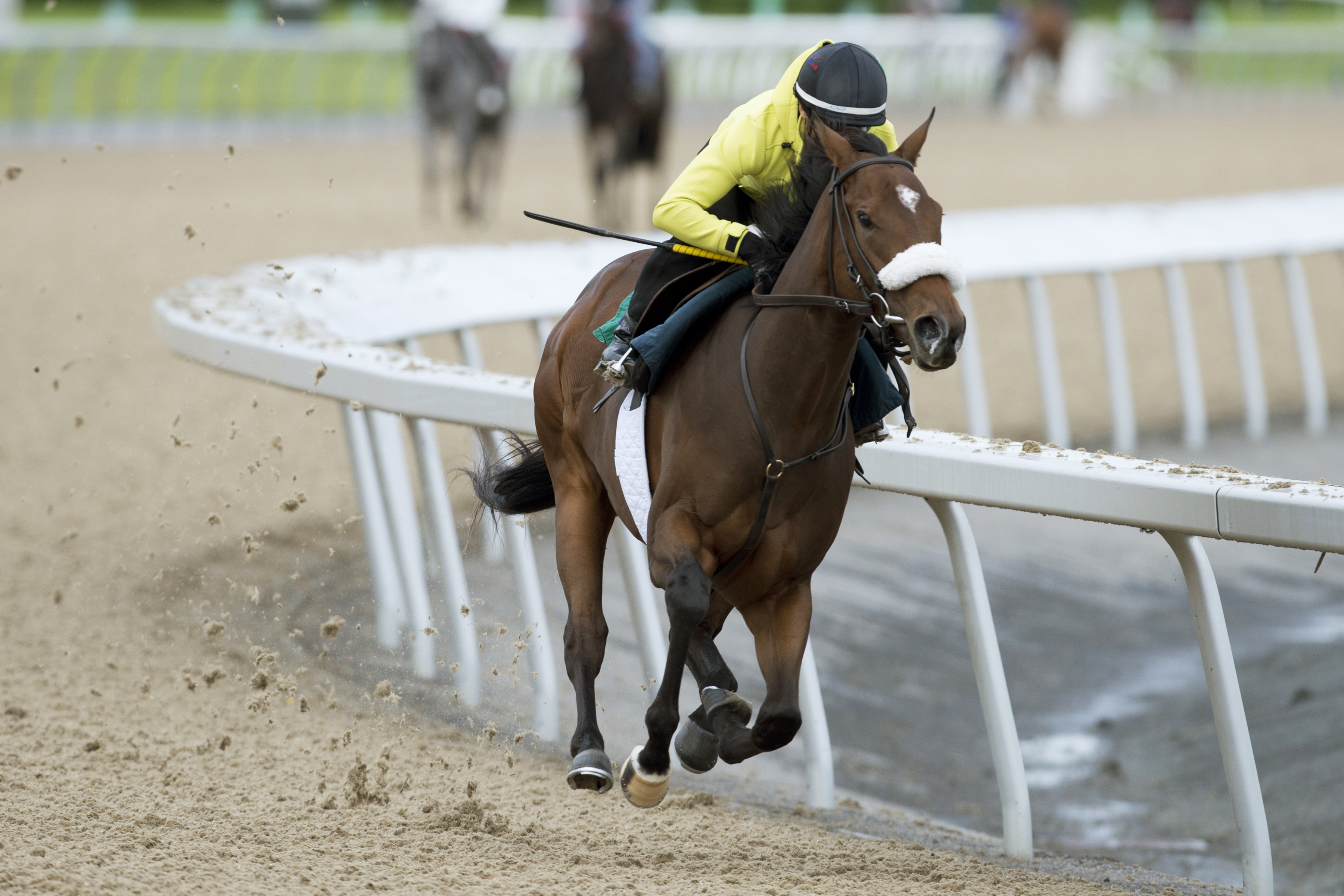 Holy Helena breezes at Woodbine on June 6