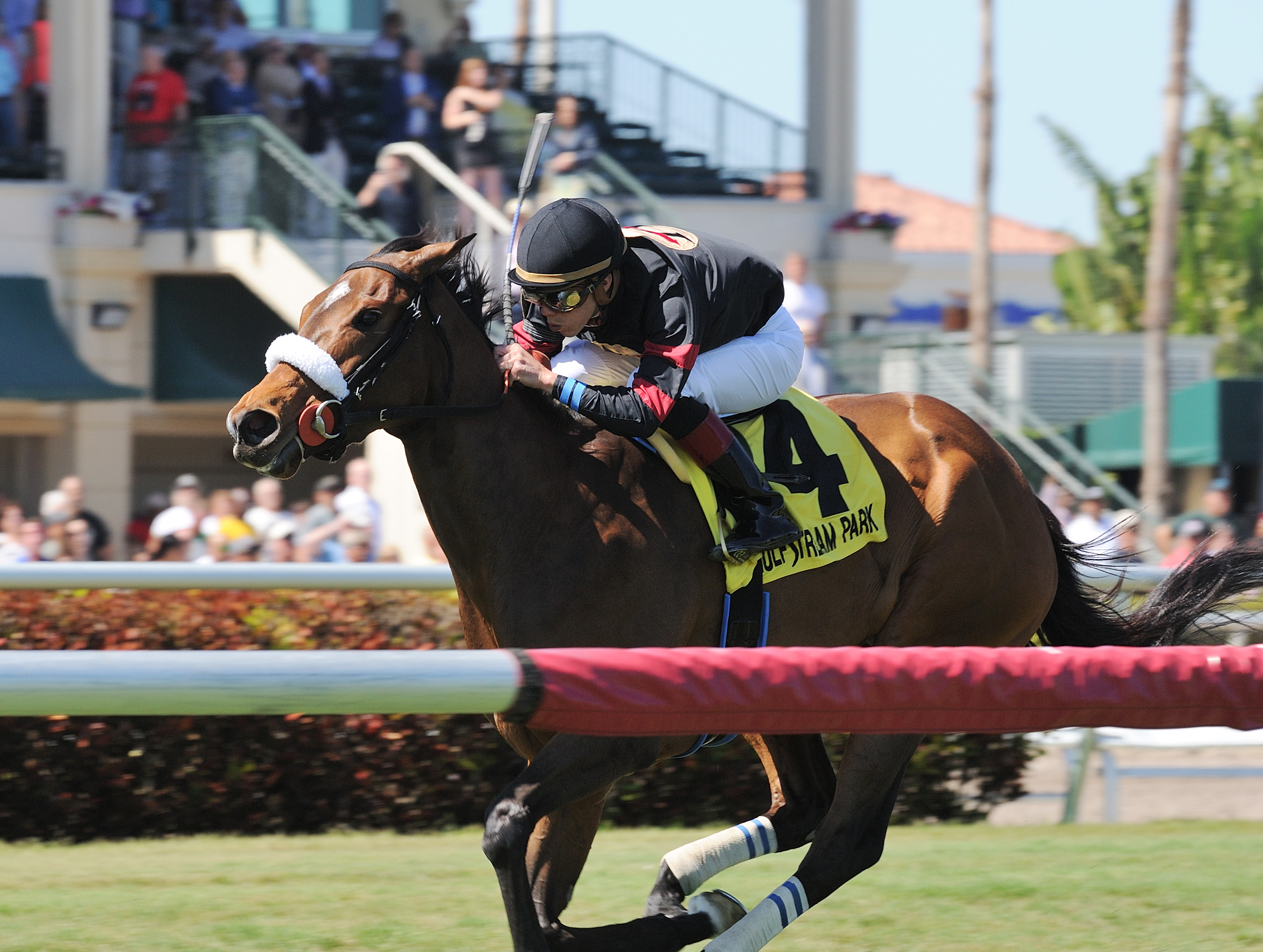 Holy Helena wins the 2018 The Very One