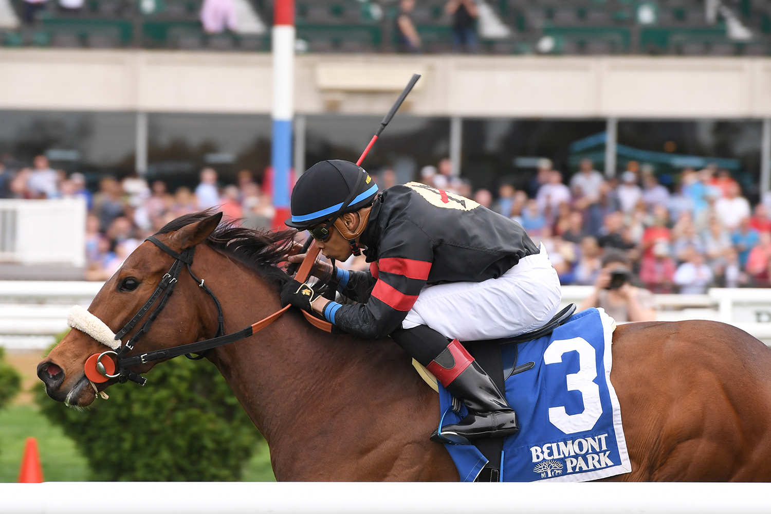 Holy Helena wins the 2018 Sheepshead Bay Stakes