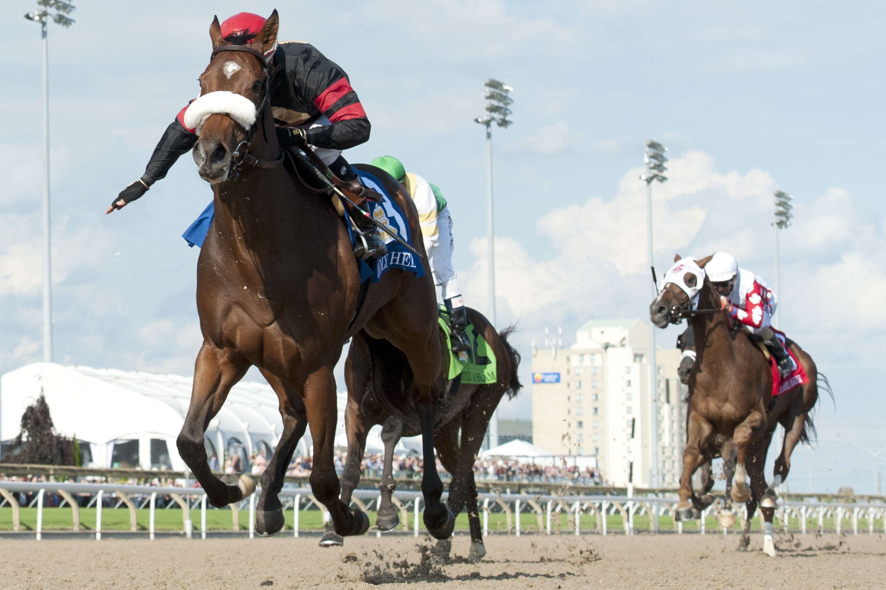 Holy Helena wins the 2017 Queen-s Plate