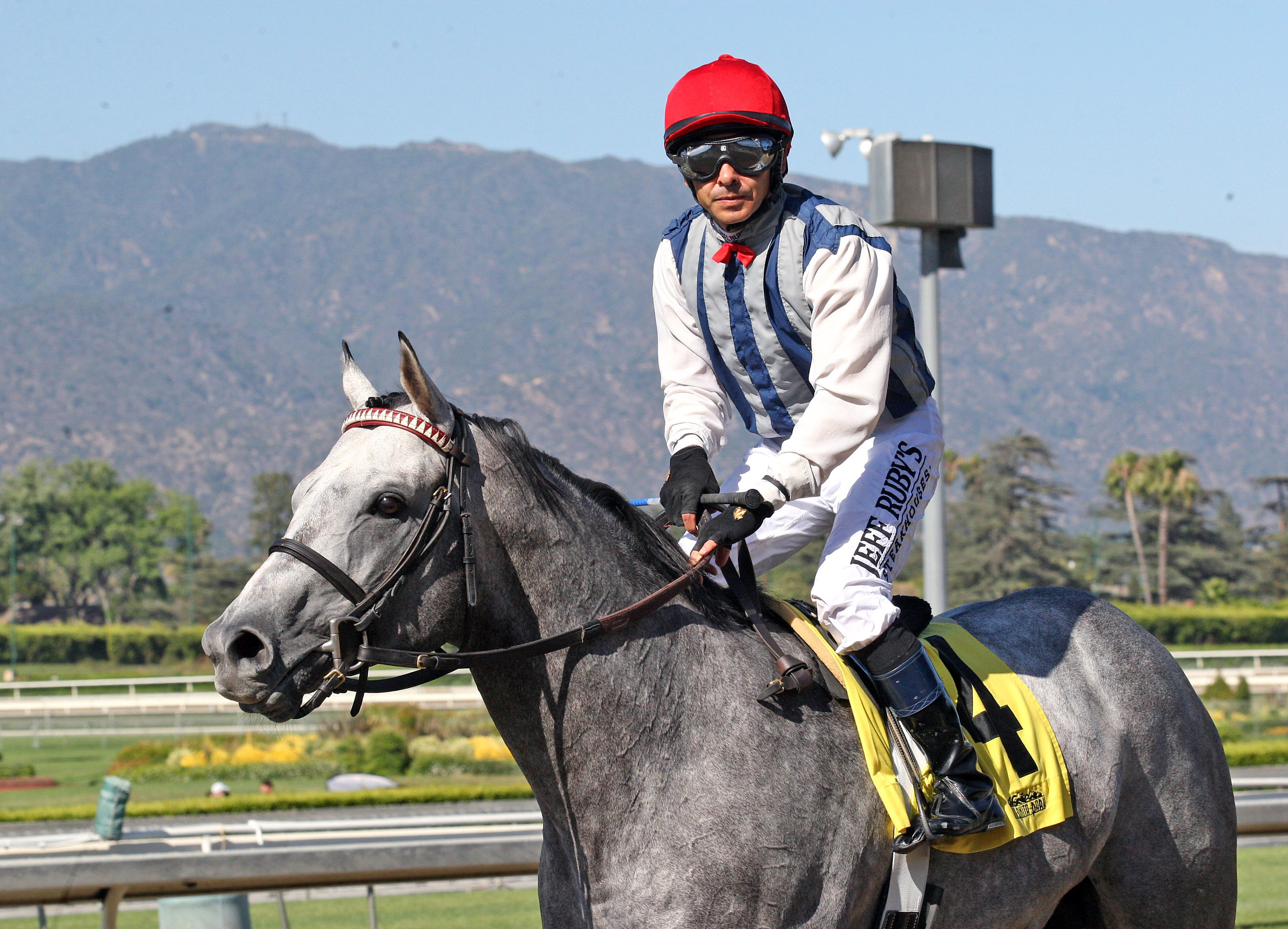 Holy Lute after an allowance race