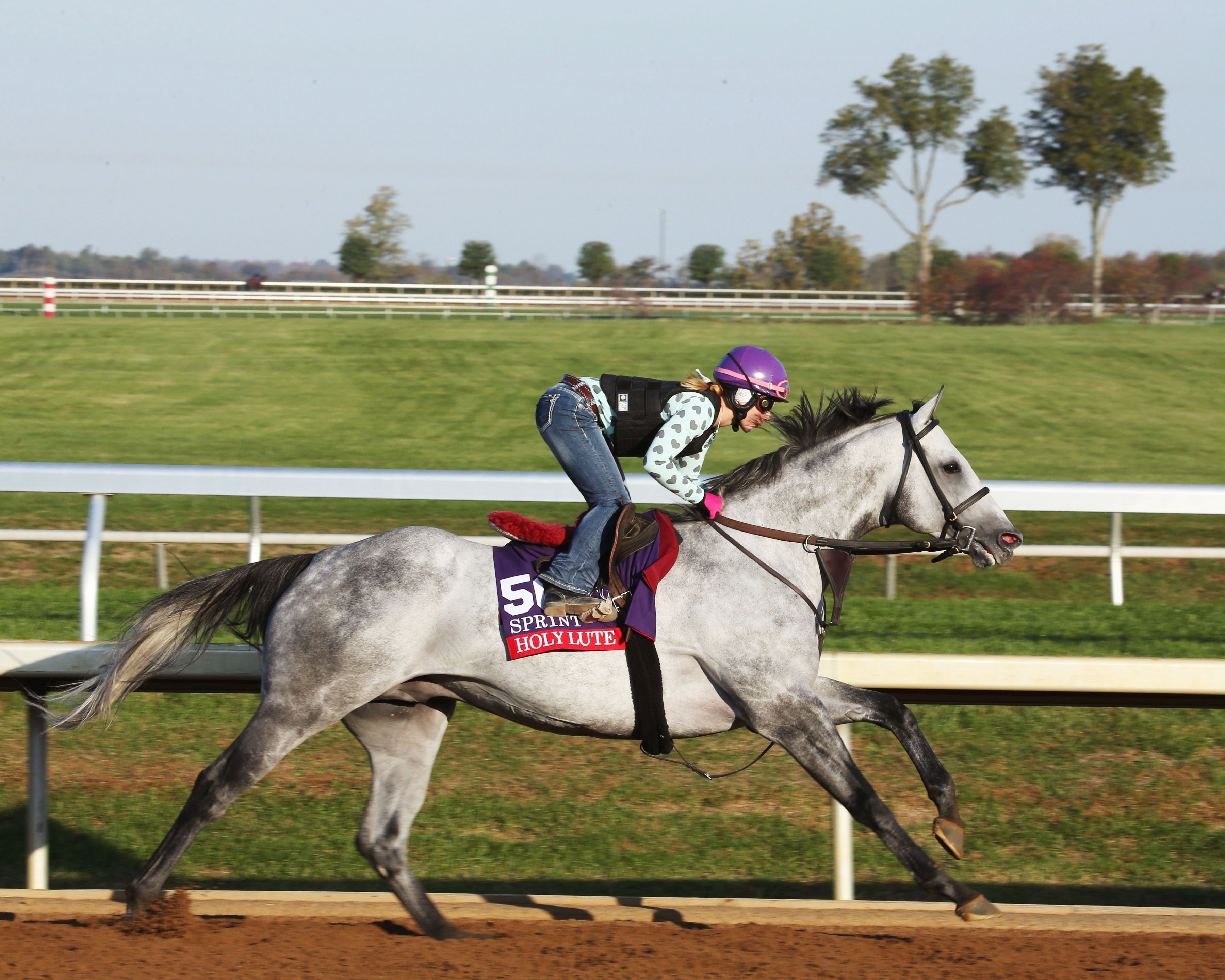 Holy Lute trains at Keeneland on Oct. 22