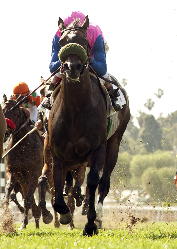 Home Journey wins 2015 Las Cienegas