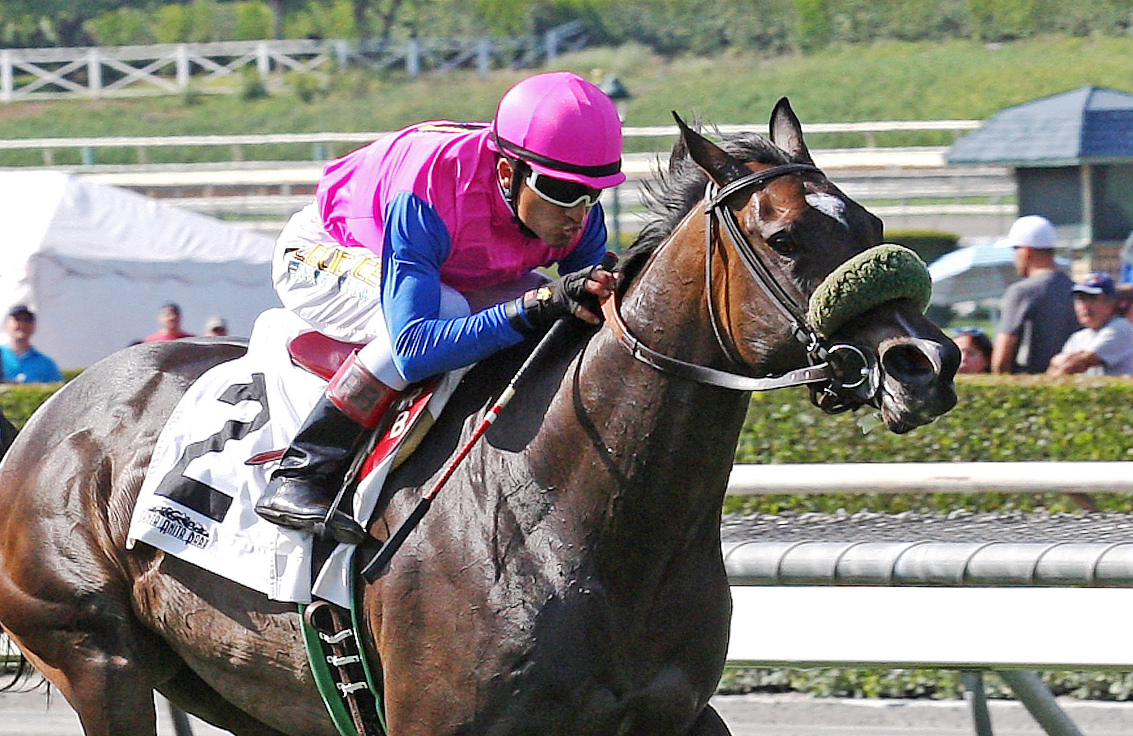 Home Journey wins the Las Cienegas