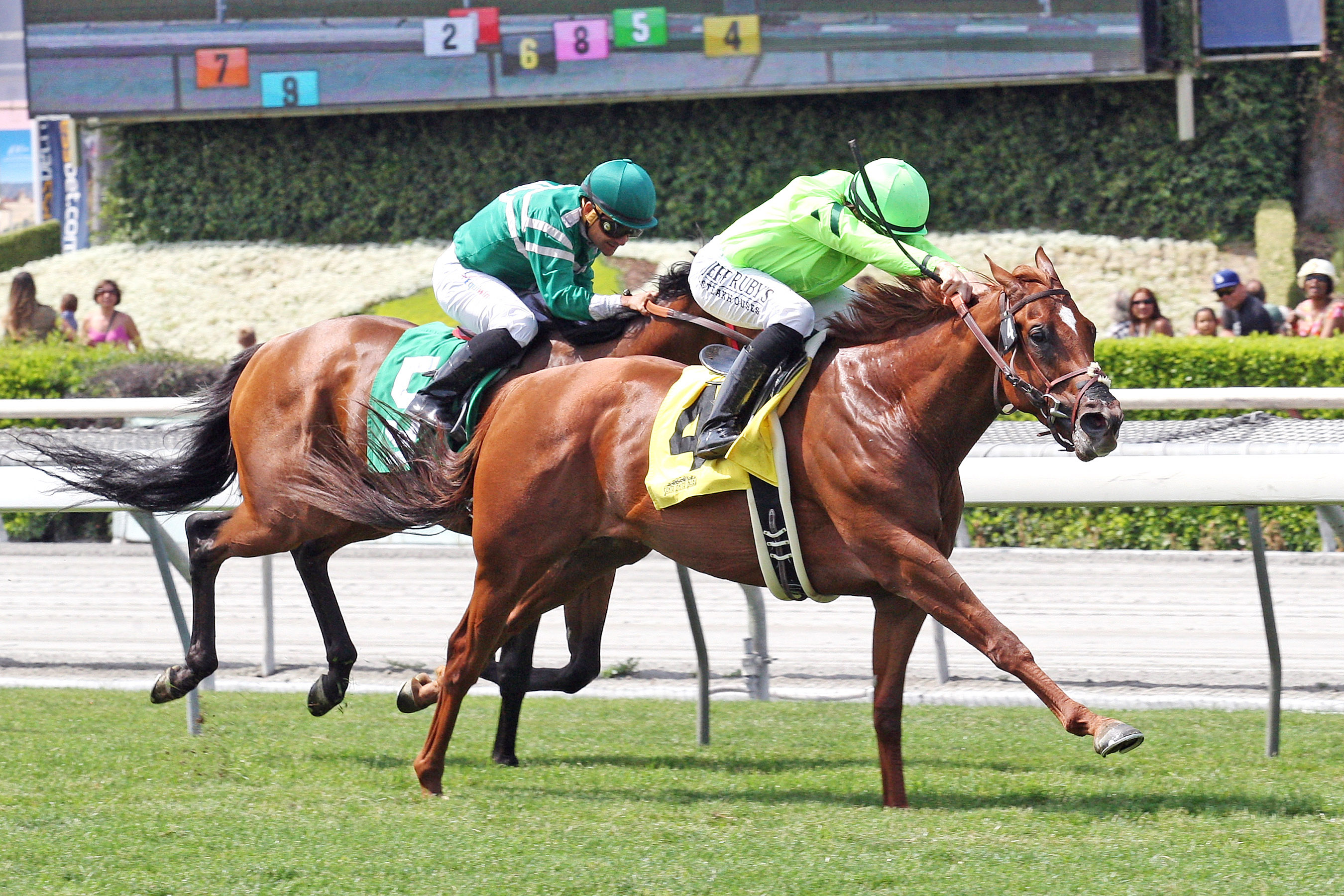 Home Run Kitten wins the Singletary Stakes