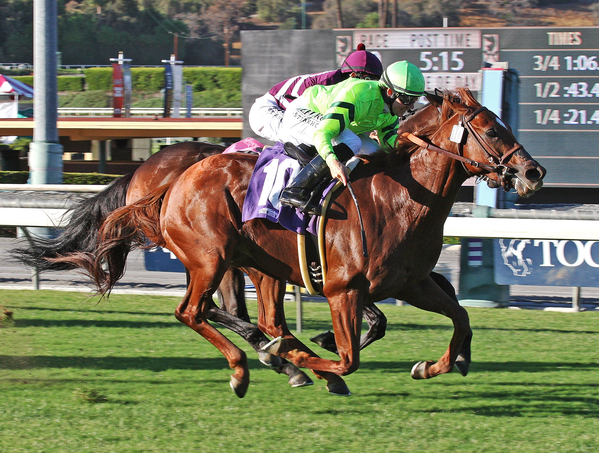 Home Run Kitten wins the 2014 Eddie D. Stakes