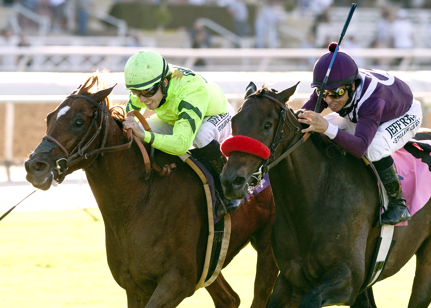 Home Run Kitten wins the Eddie D Stakes