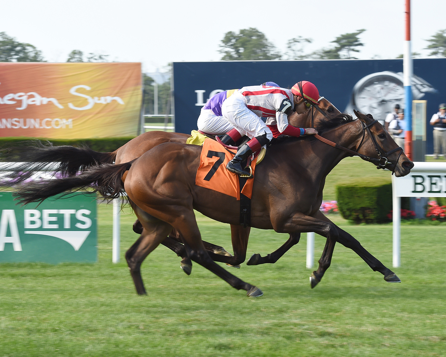 Homeland Security wins a June 30, 2017 maiden race