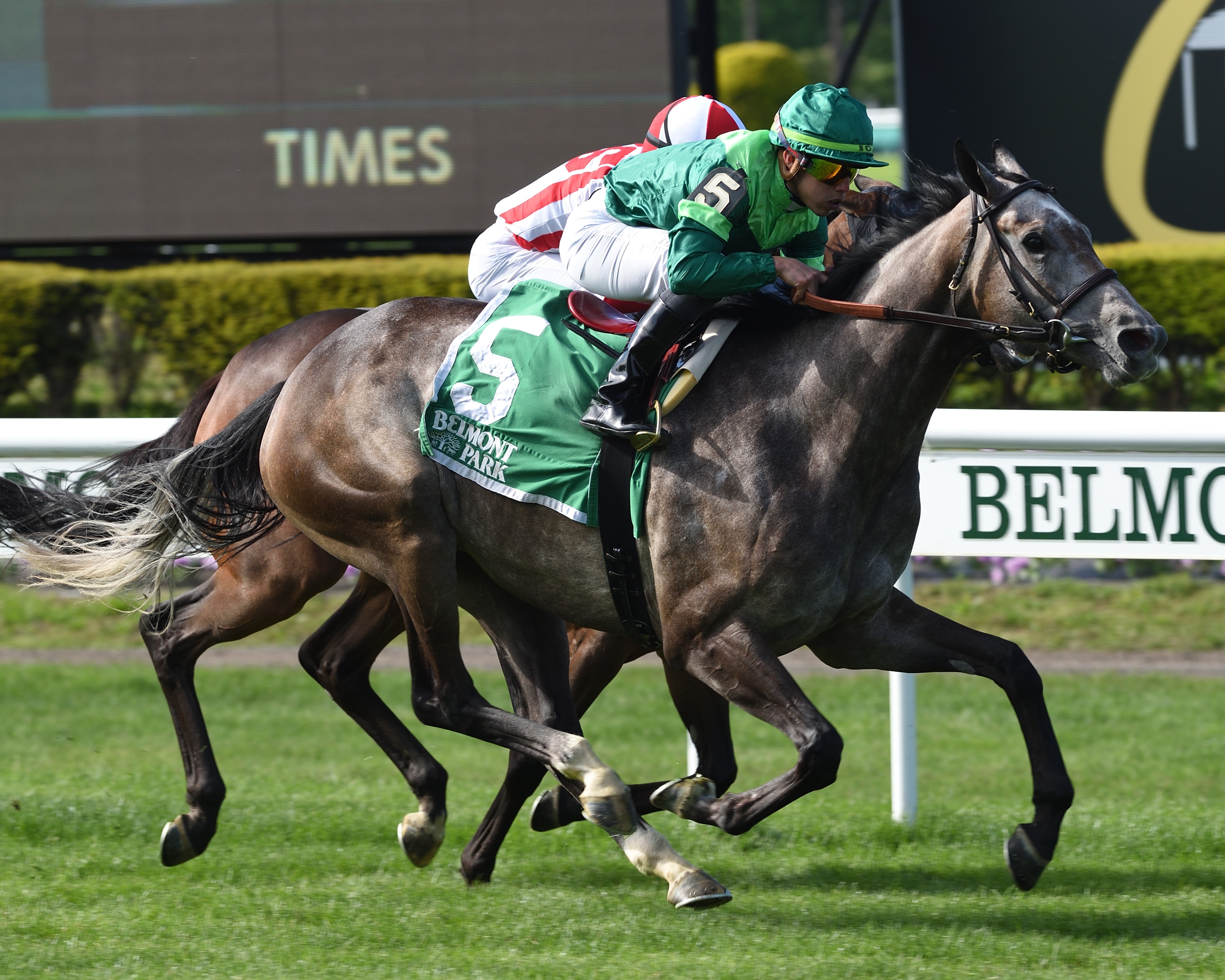 Homerique wins the 2019 Beaugay Stakes