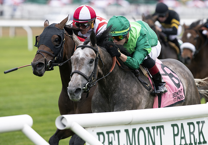 Homerique wins the 2019 New York Stakes