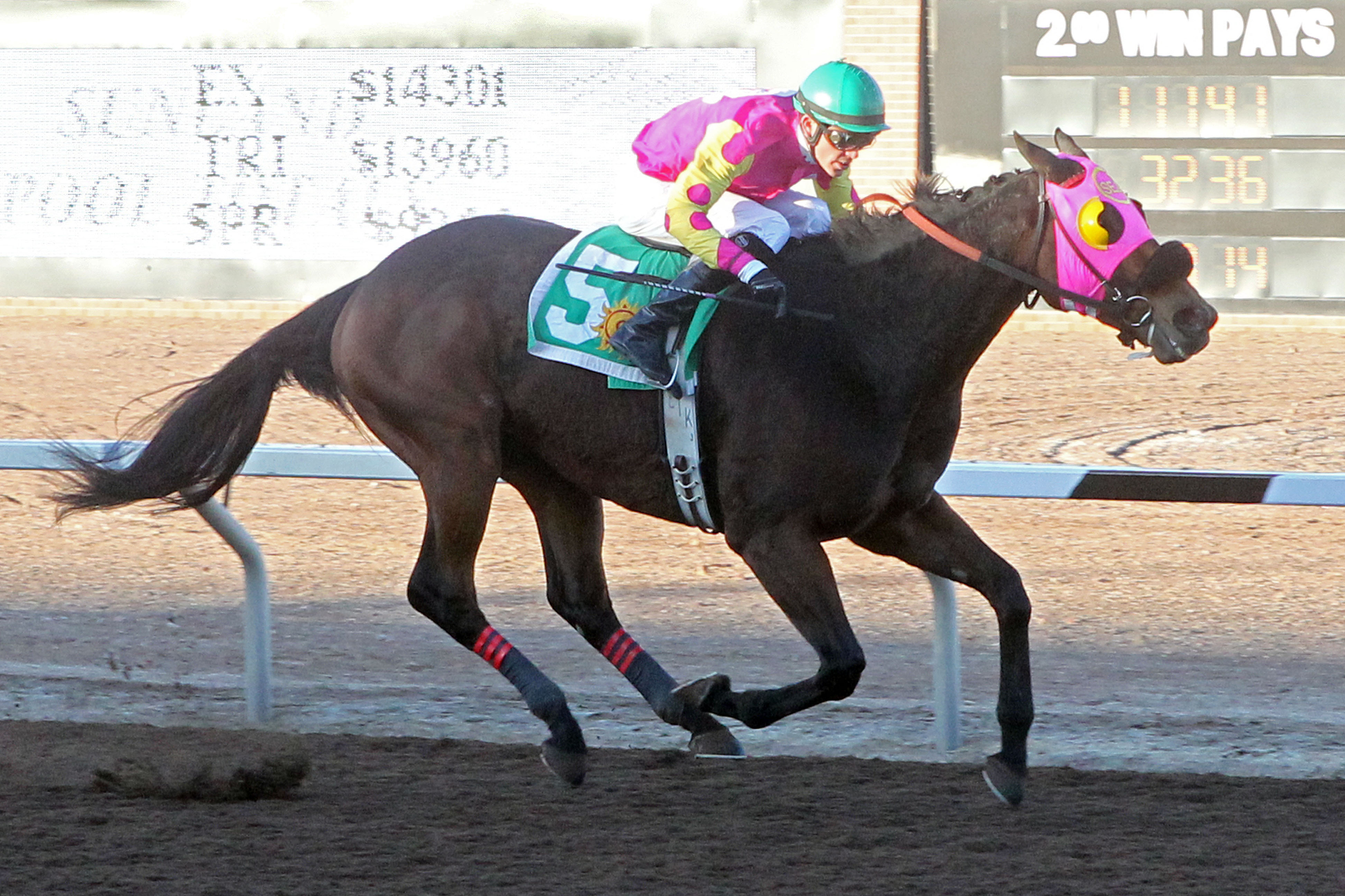 Homerun Berti wins the KLAQ Handicap