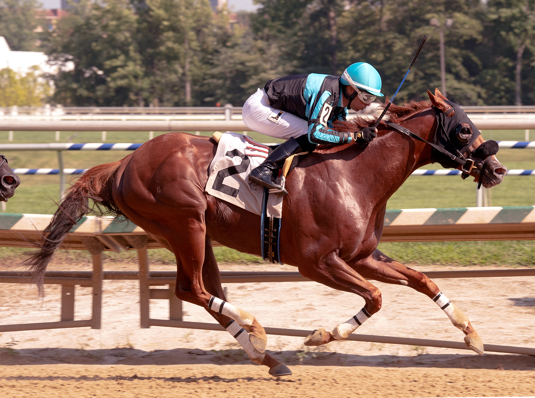 Homespun Hero wins the 2018 Meadow Stable Stakes