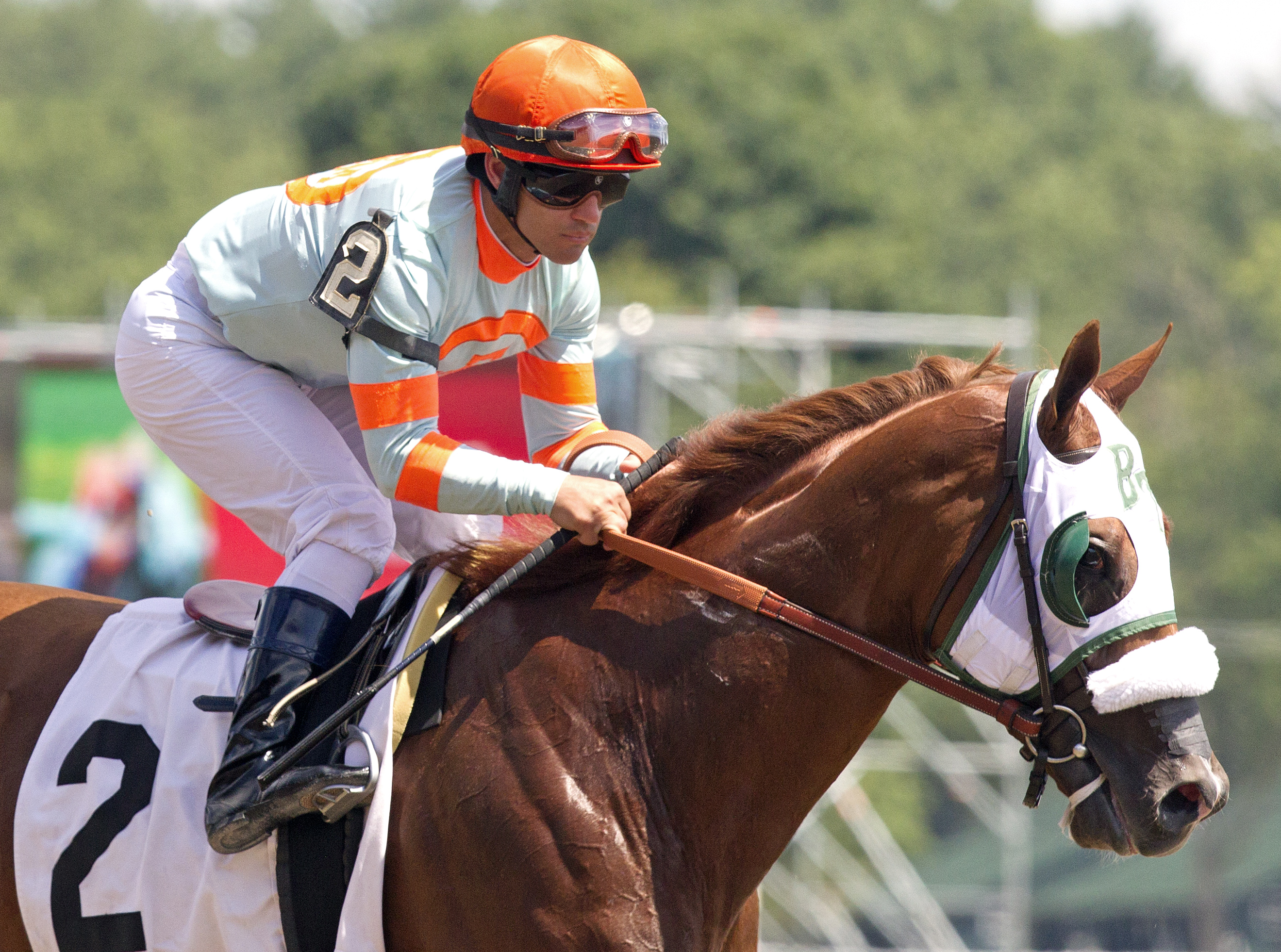 Homespun Hero at a July 24 allowance race