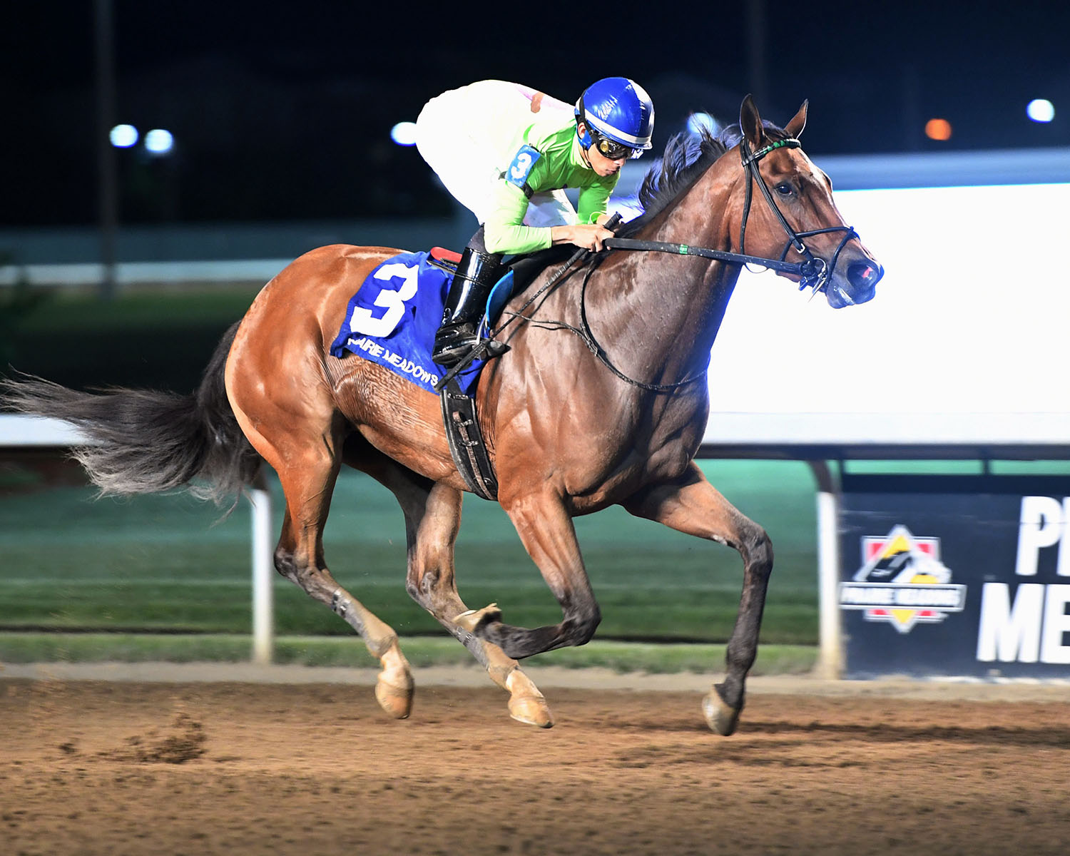 Honey Bunny wins the 2018 Prairie Rose Stakes