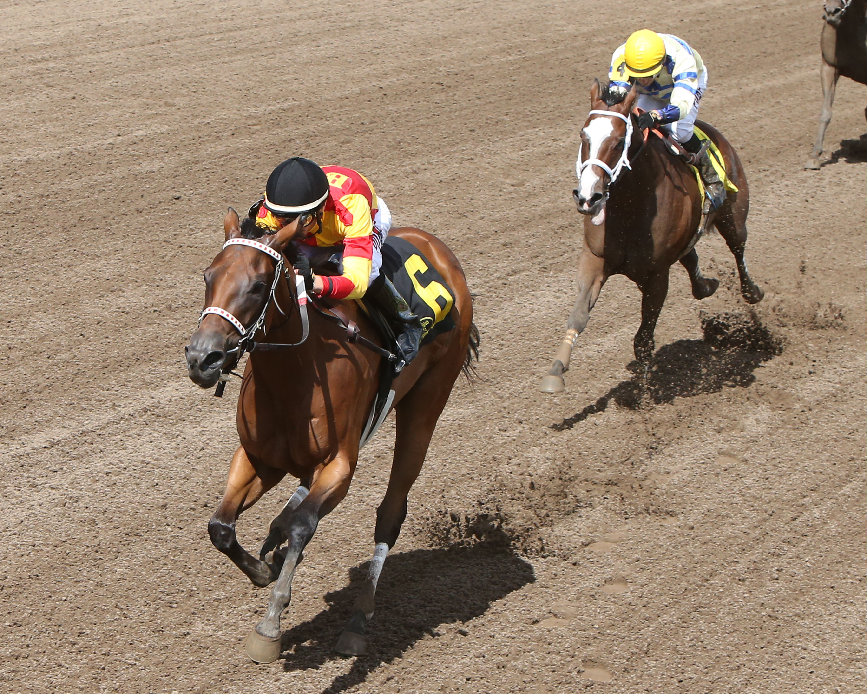 Honey's Sox Appeal wins the 2016 Minnesota Distaff Sprint