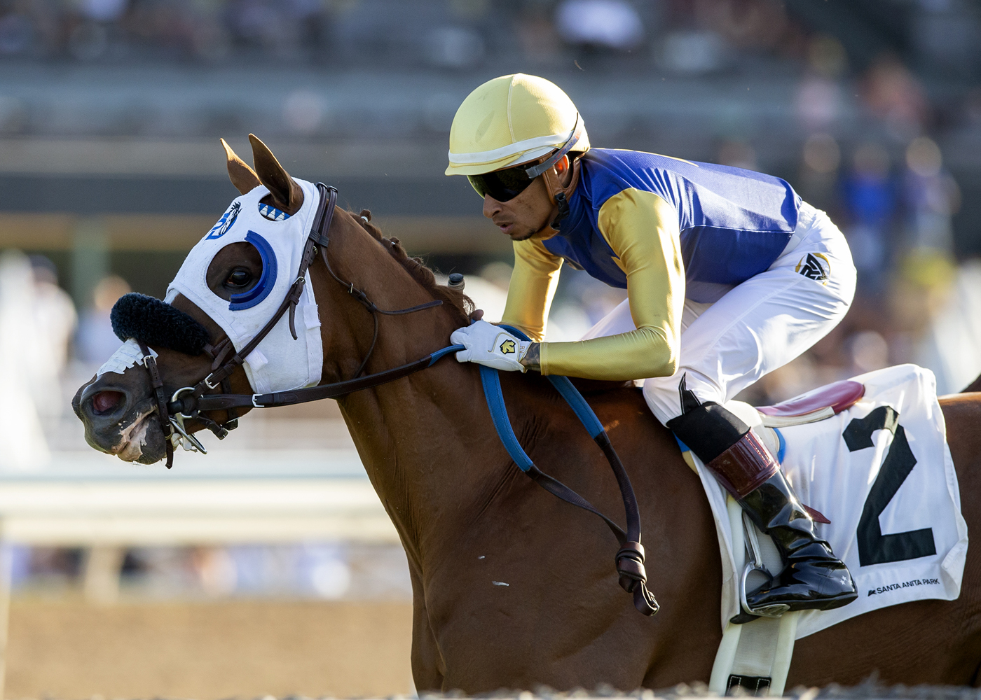 Hong Kong Harry wins American Stakes 6-19-2022