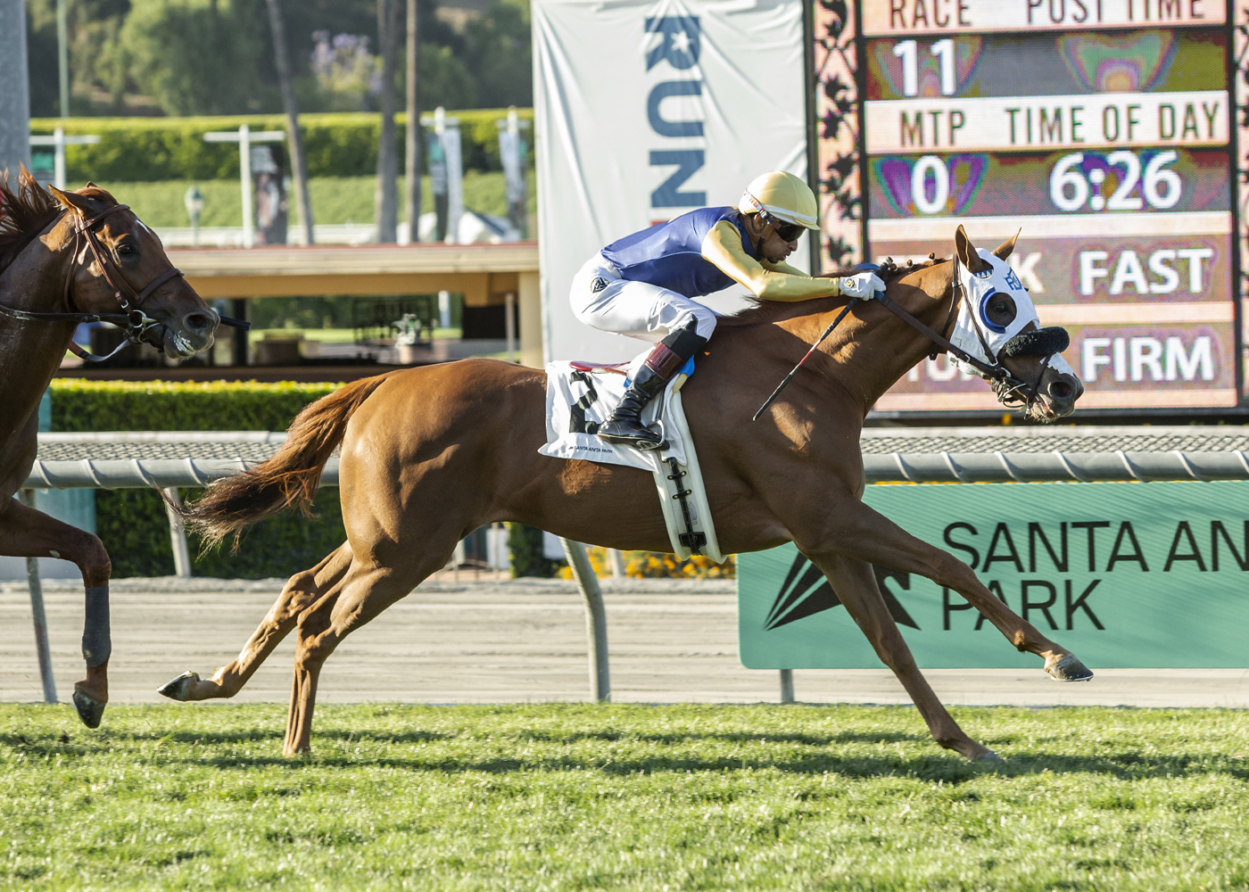 Hong Kong Harry wins the American Stakes at Santa Anita on June 19 2022