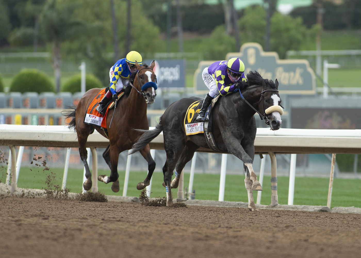 Honor A. P./SA Derby