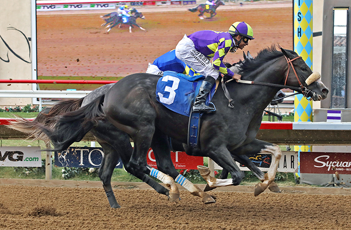 Honor A. P. finishes second in an Aug. 17 maiden race at Del Mar