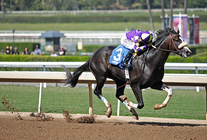 Honor A. P. wins an Oct. 13 maiden race at Santa Anita Park