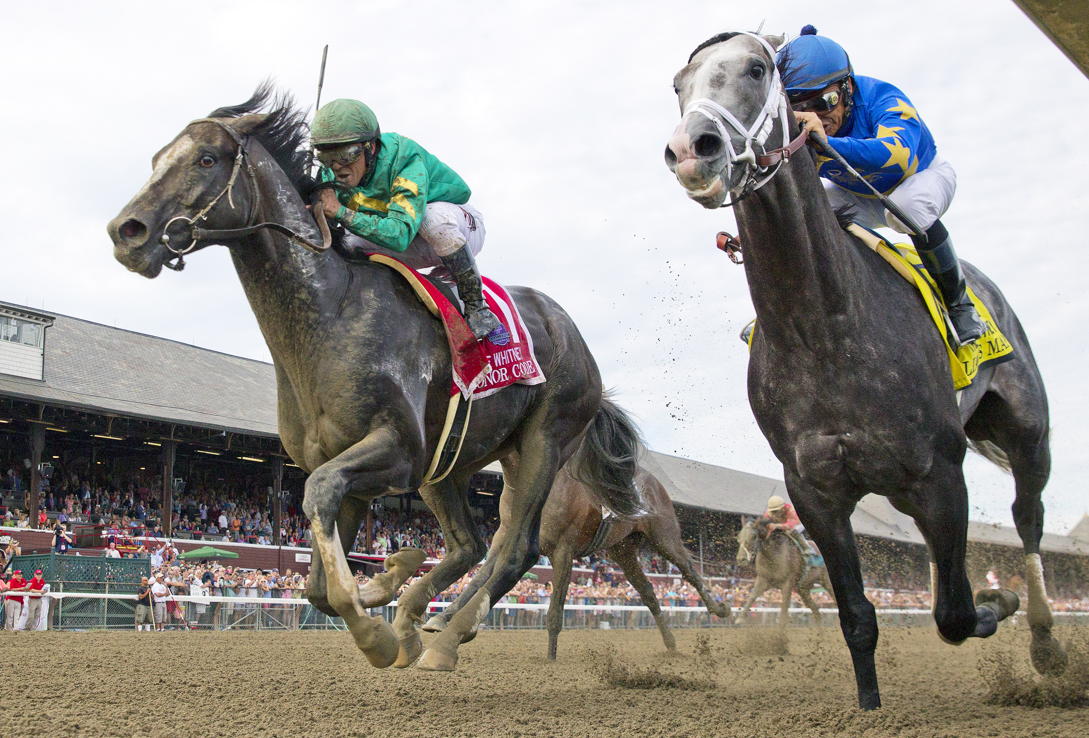 Honor Code wins 2015 Whitney over Liam's Map