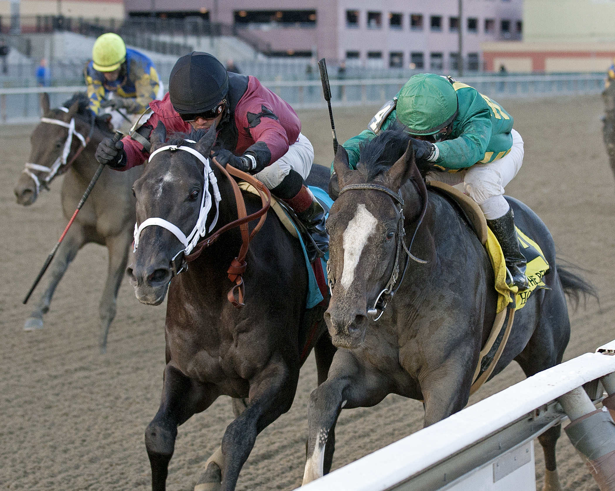 Honor Code (right), Cairo Prince, Remsen
