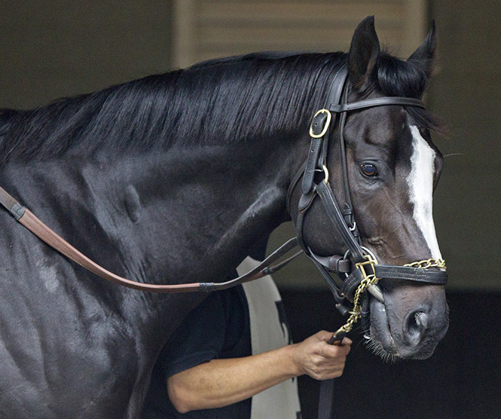 Honor Code in 2015