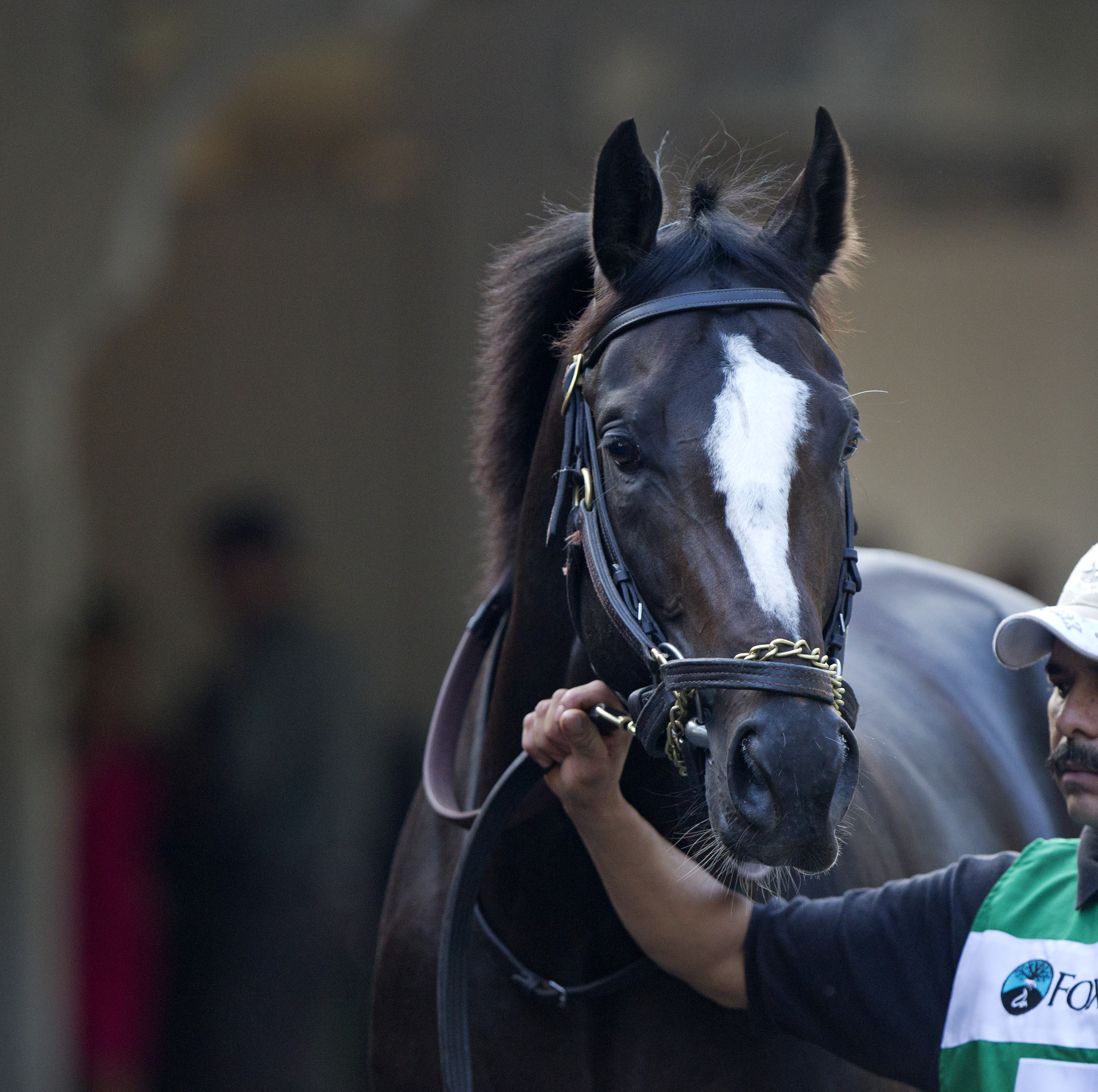 Honor Code