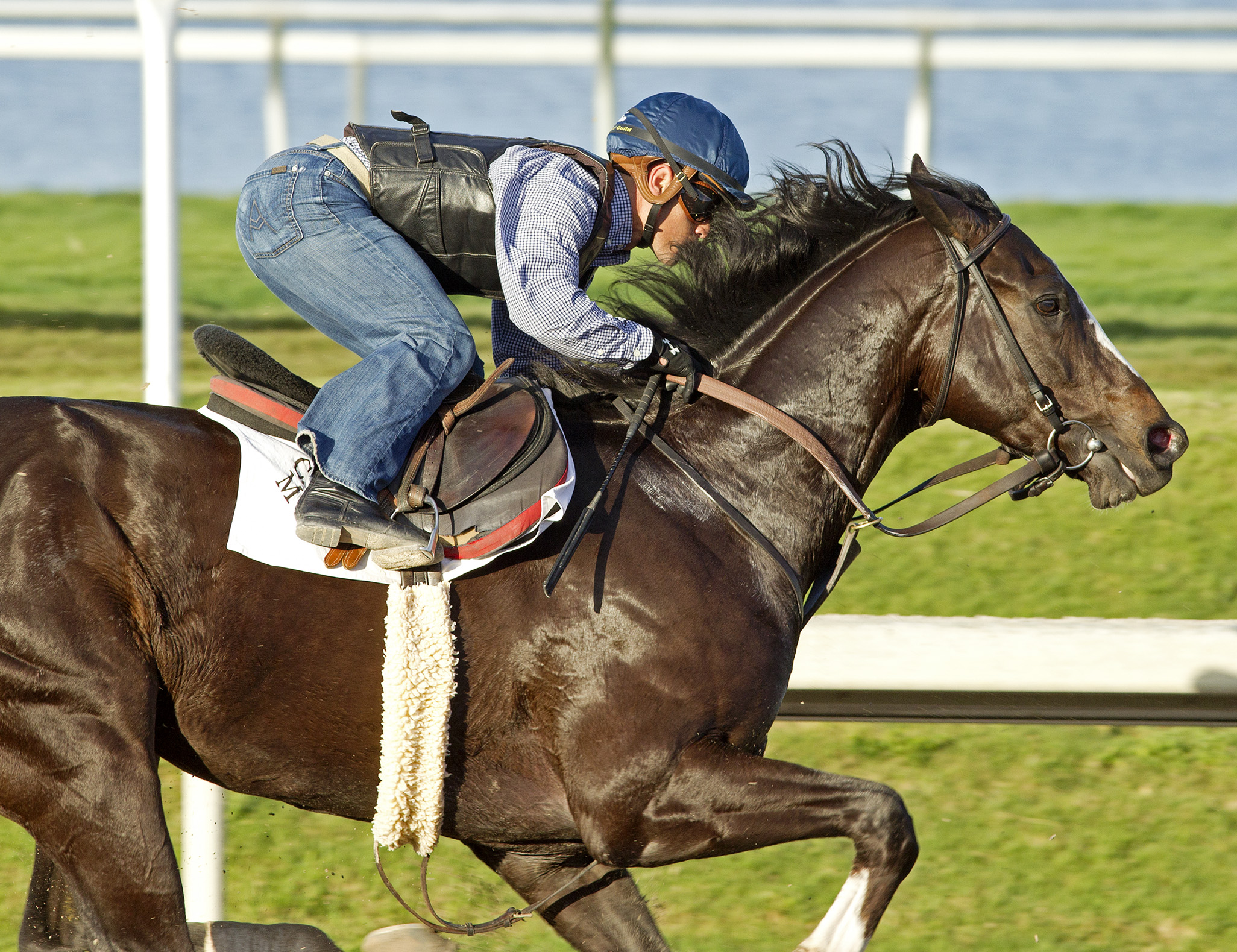 Honor Code