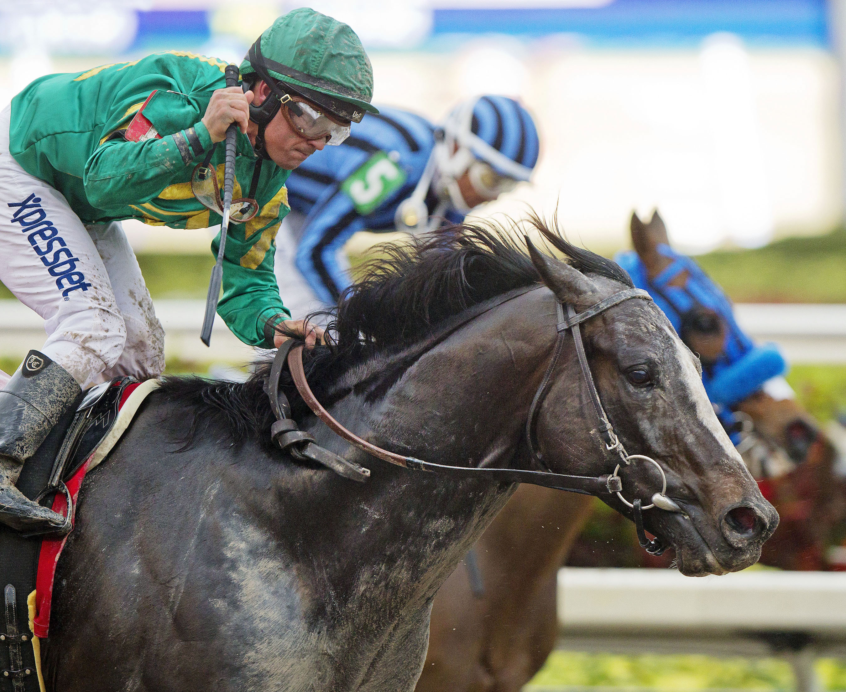 Honor Code wins the Gulfstream Park Handicap