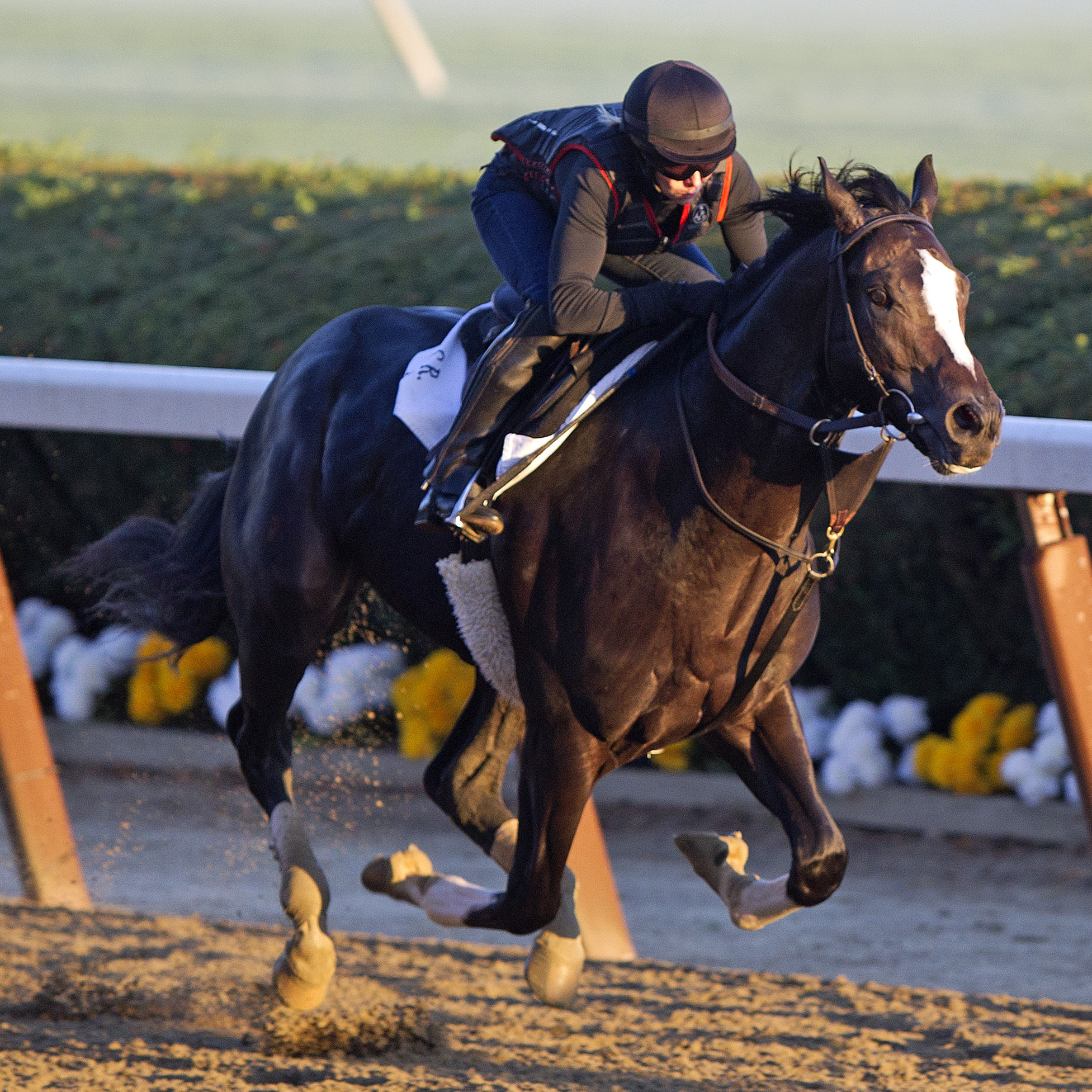 Honor Code training