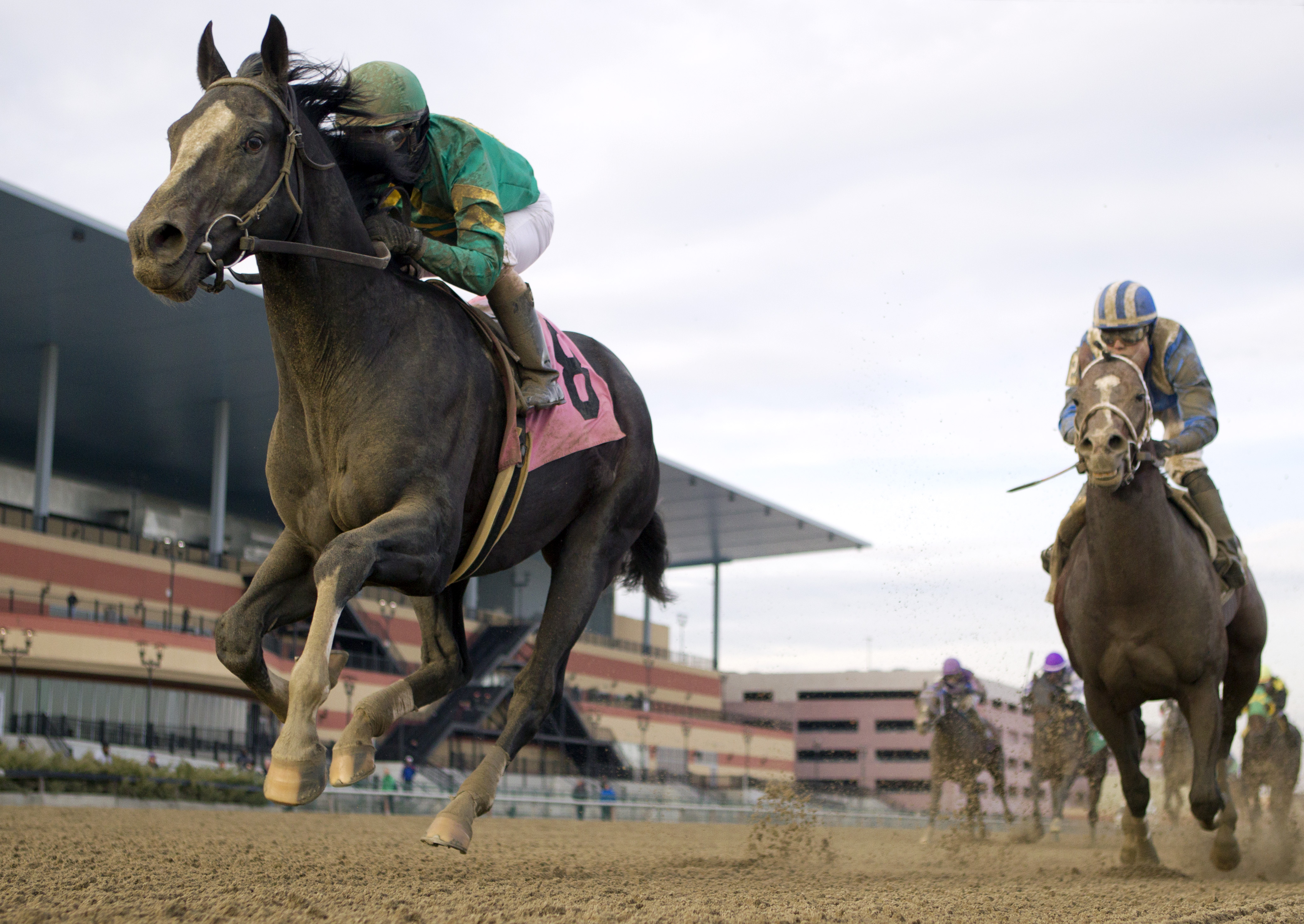 Honor Code wins 11-22-14 optional claimer