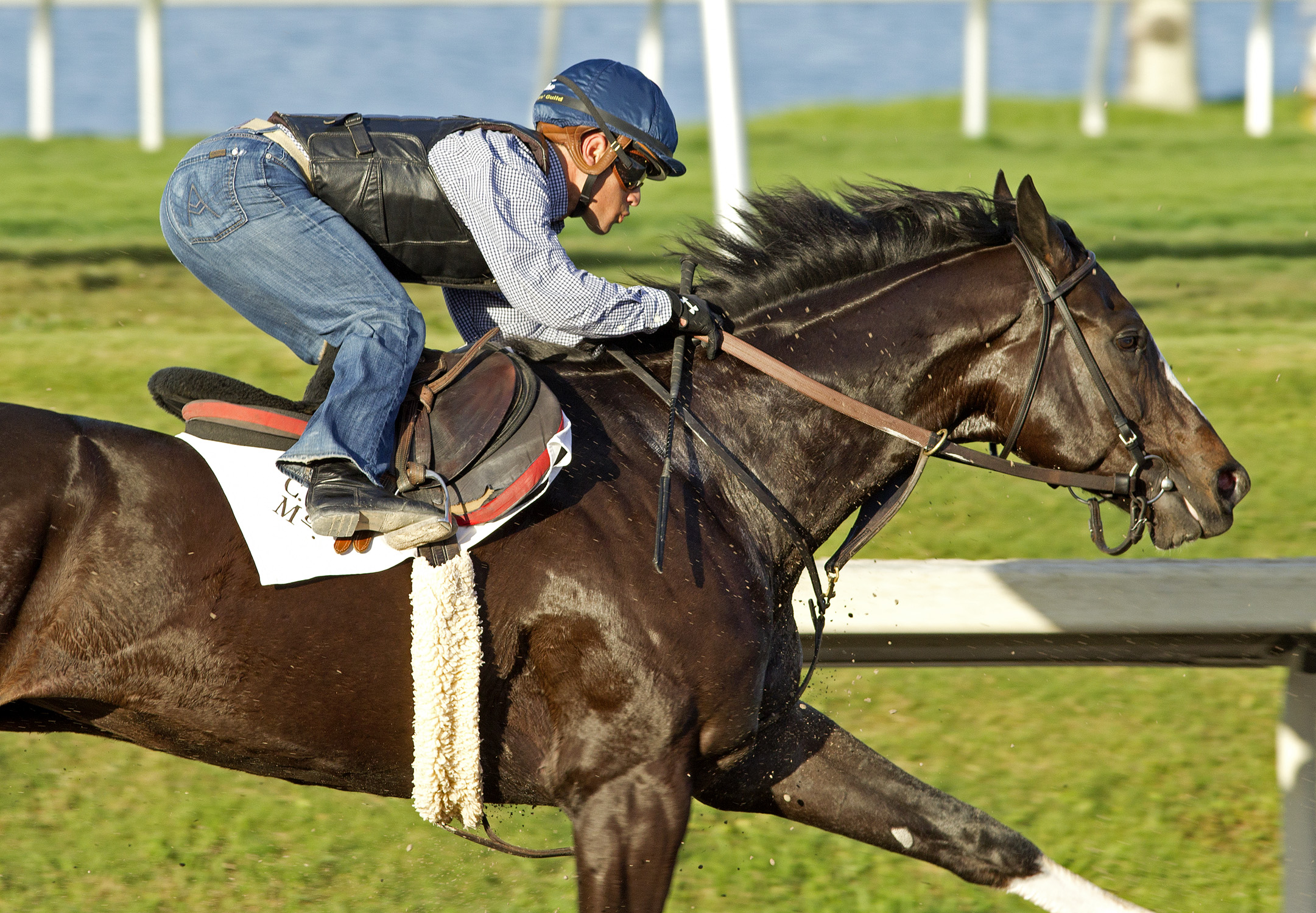 Honor Code training March 2