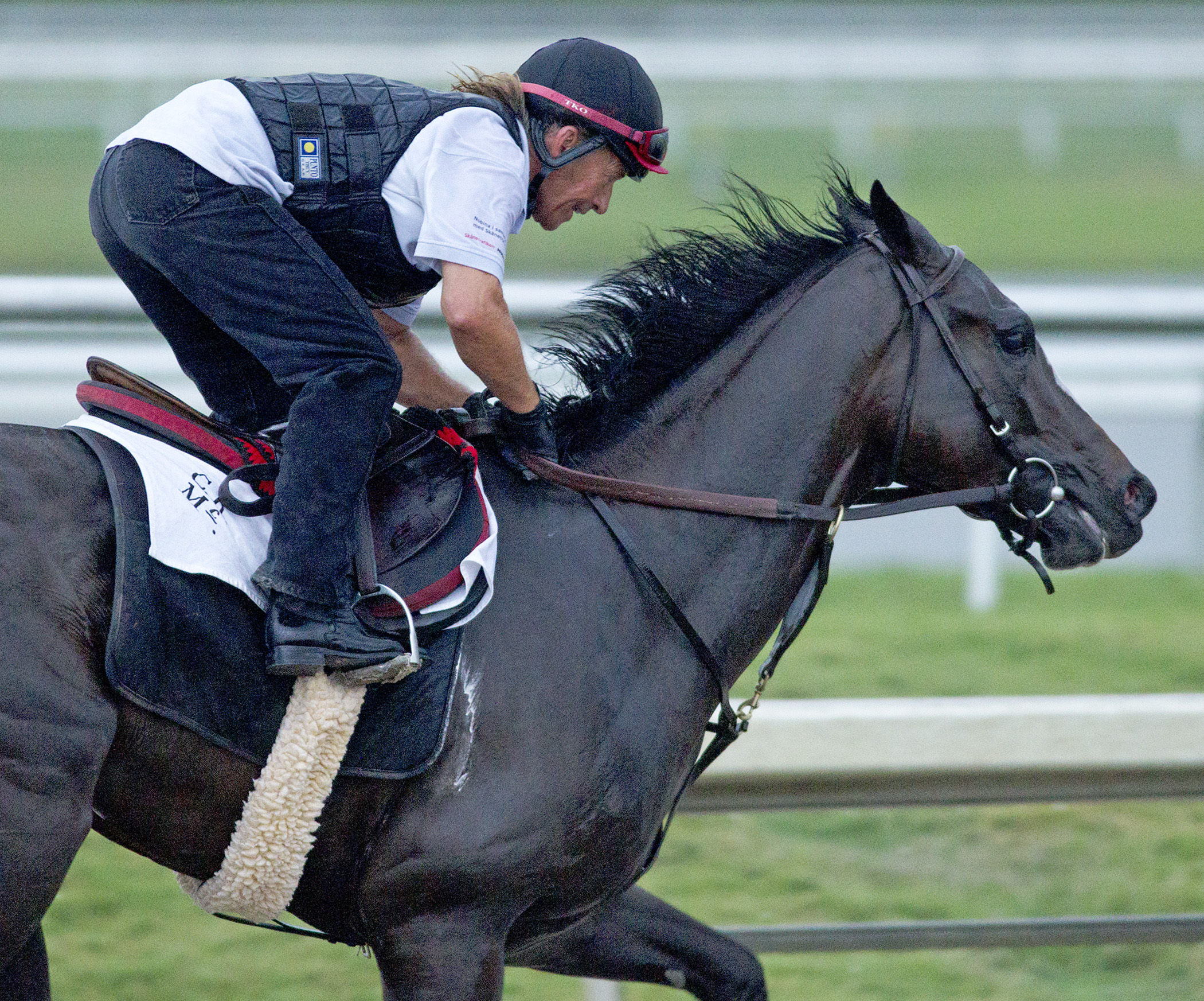 Honor Code