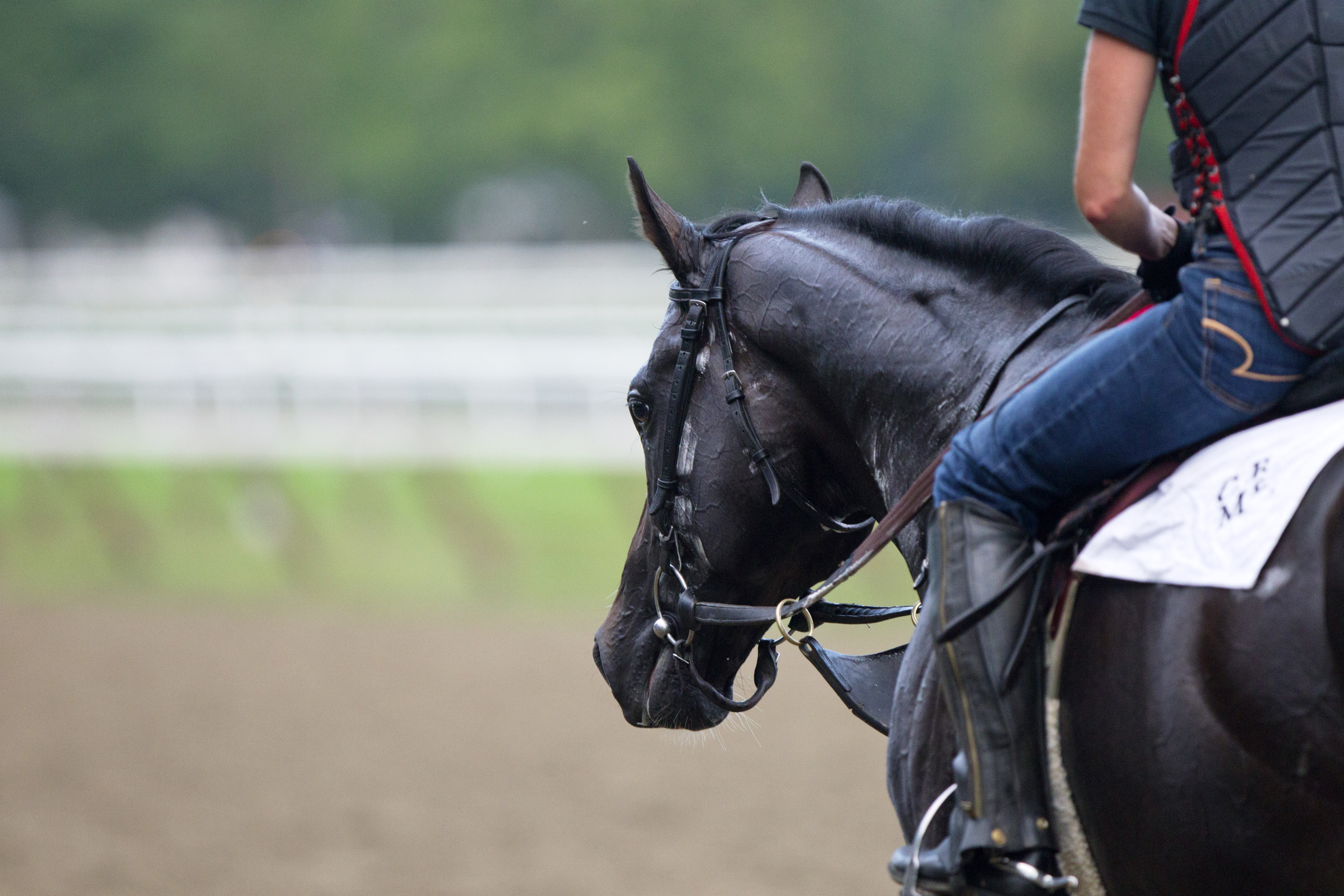 Honor Code portrait