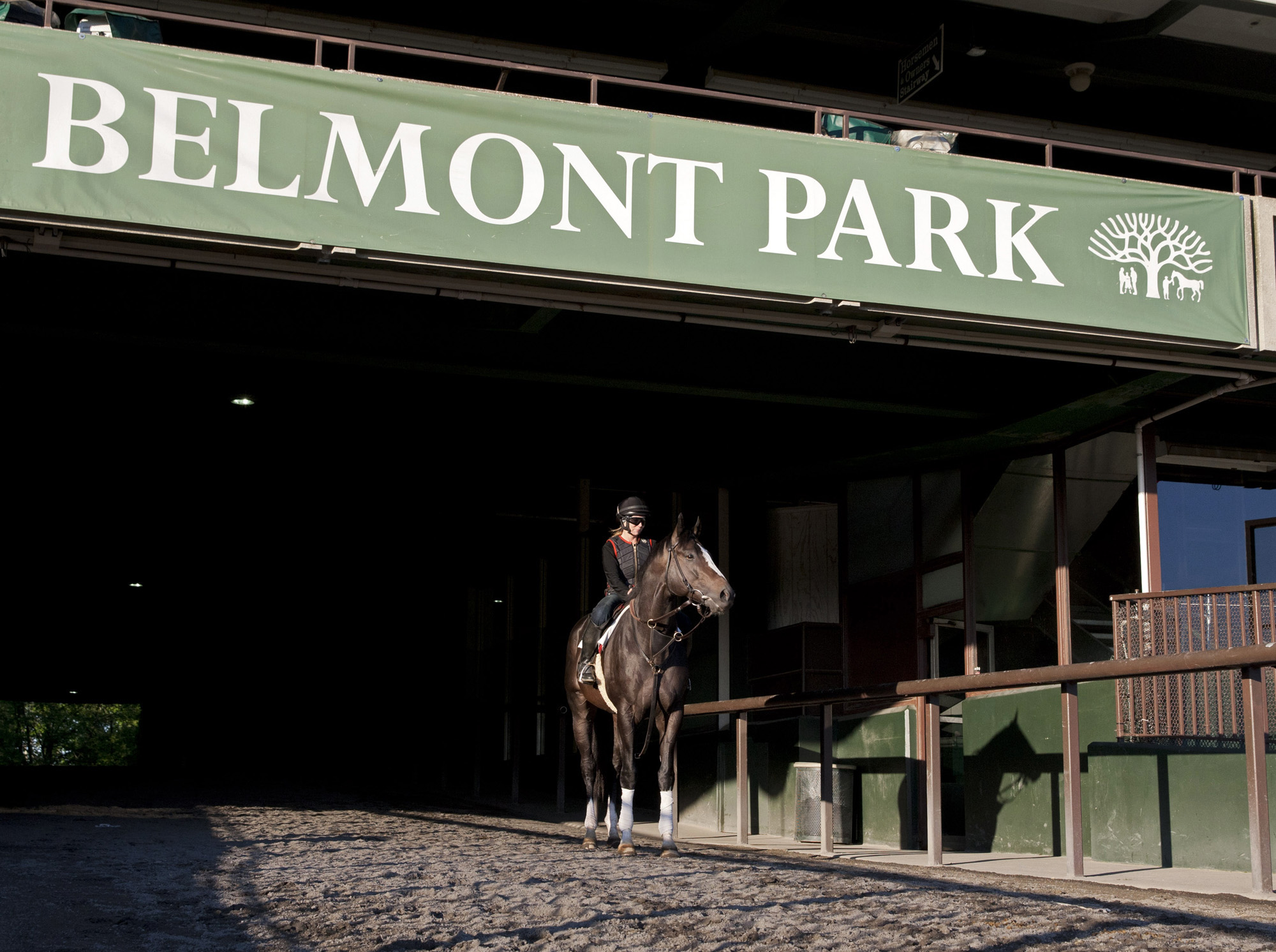 Honor Code at Belmont Park in May