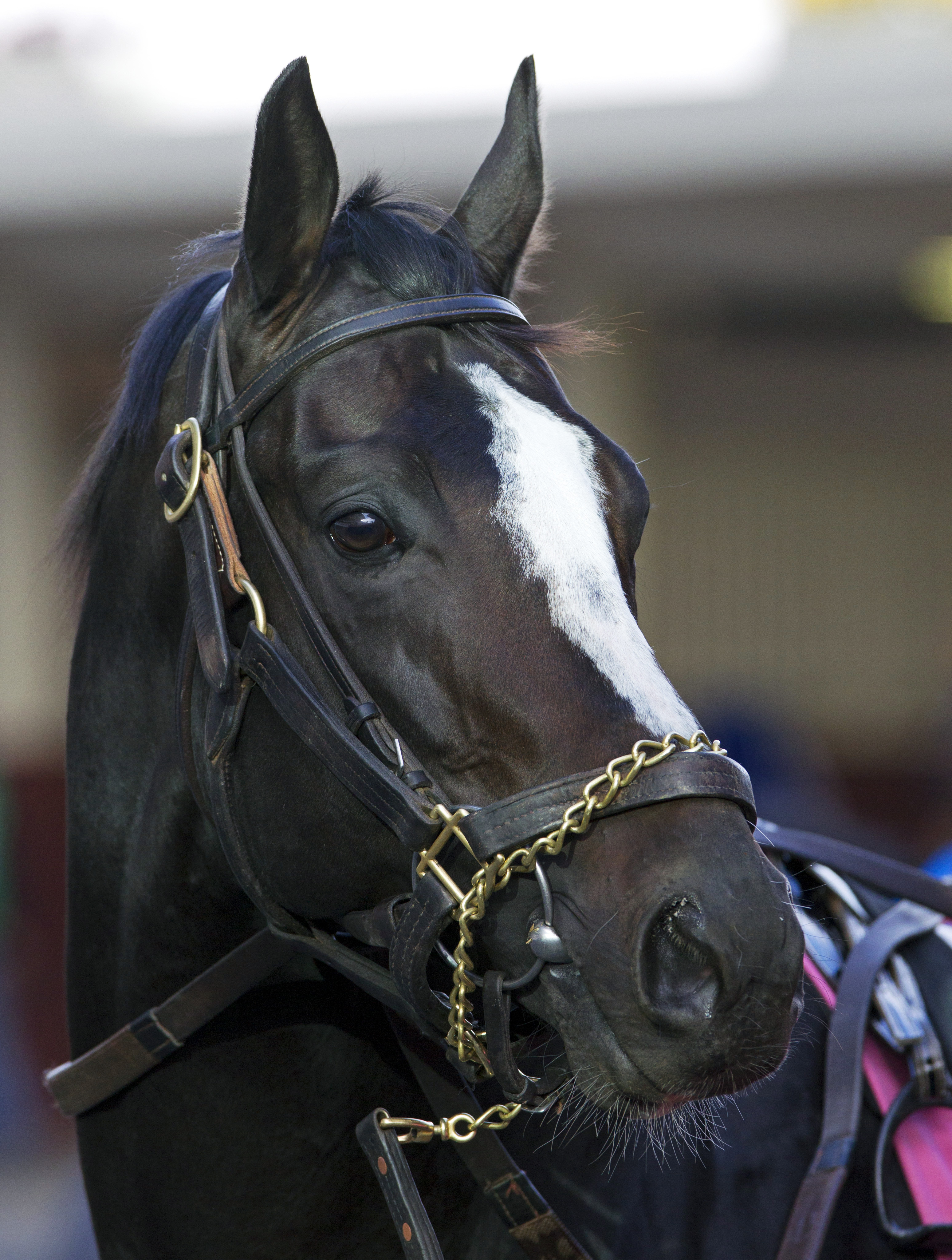 Honor Code