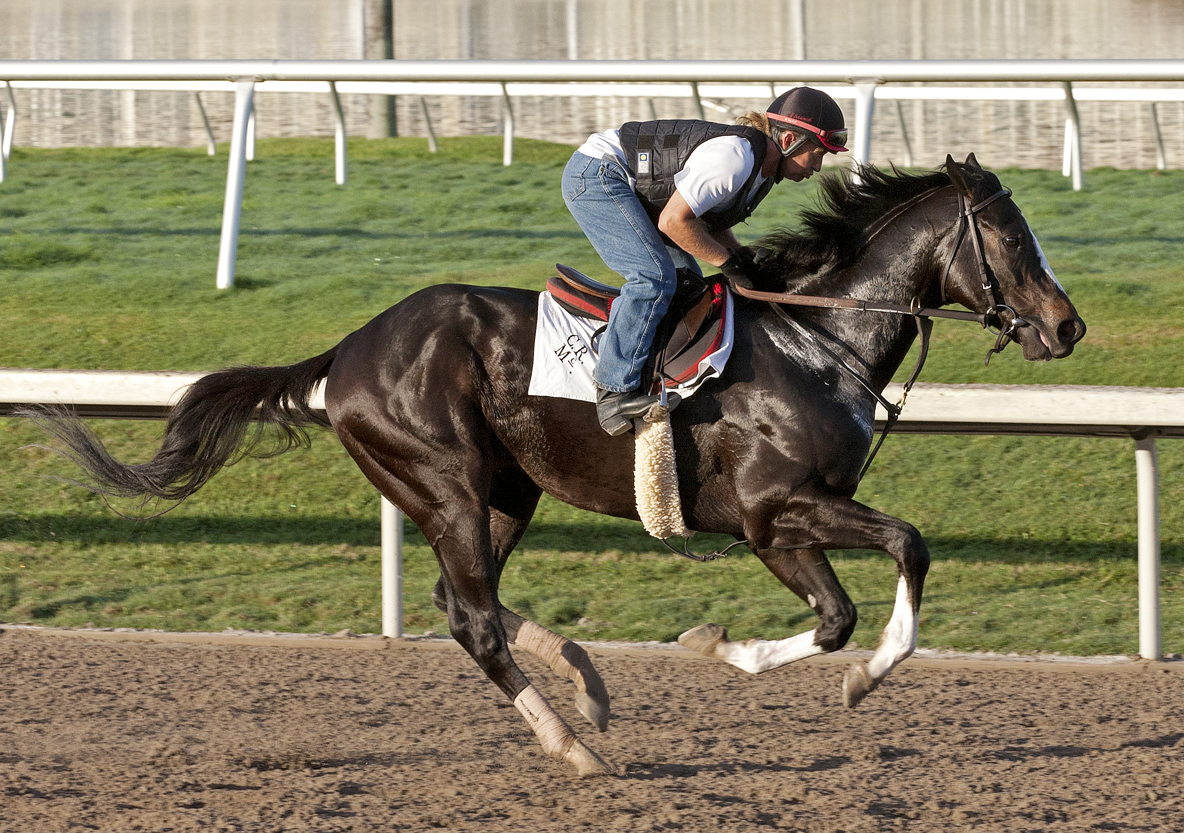 Honor Code trains on Feb. 12