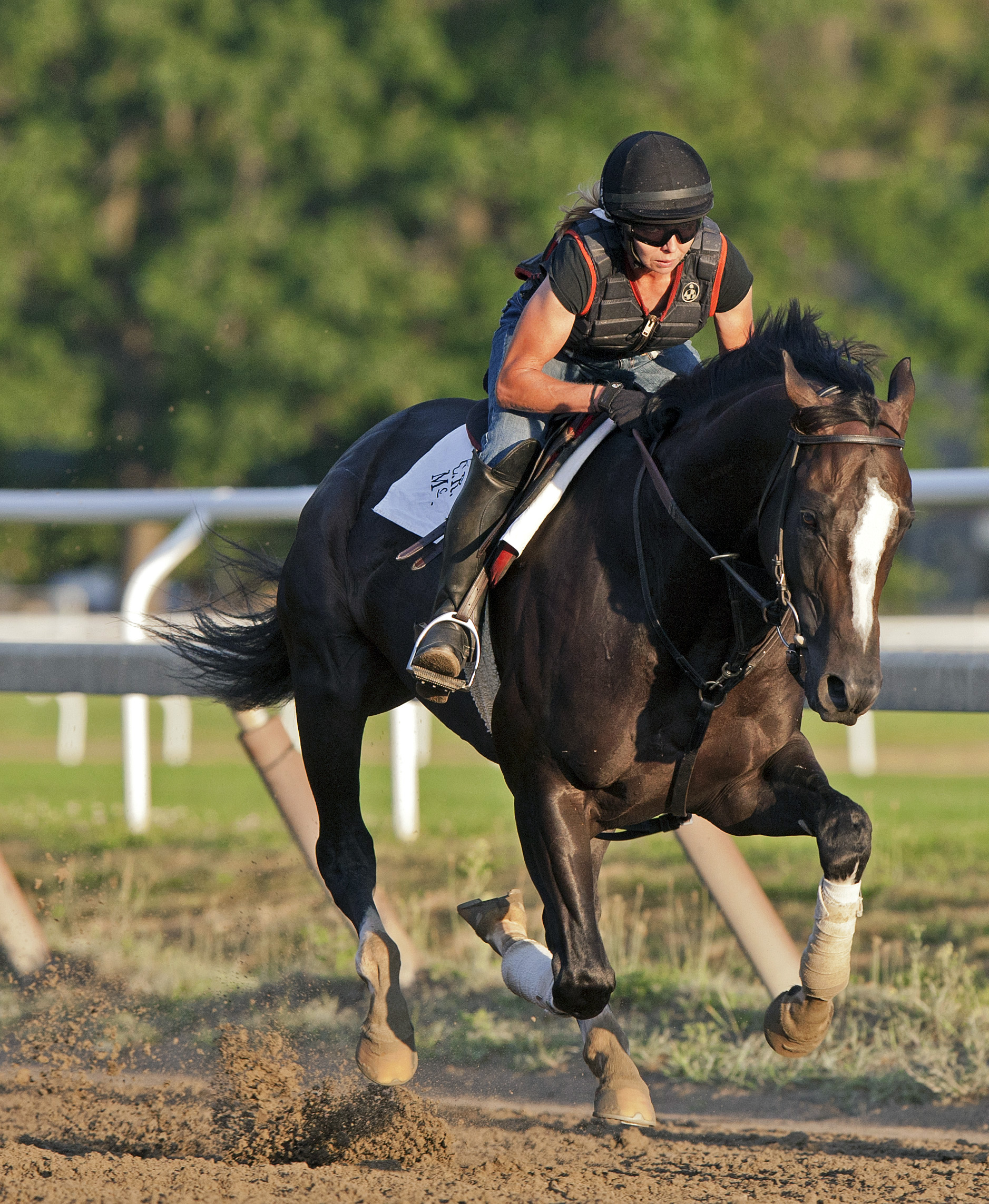 Honor Code trains at Saratoga on August 5