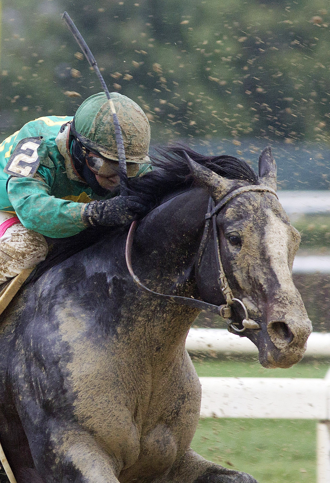 Honor Code finishes third in the Kelso