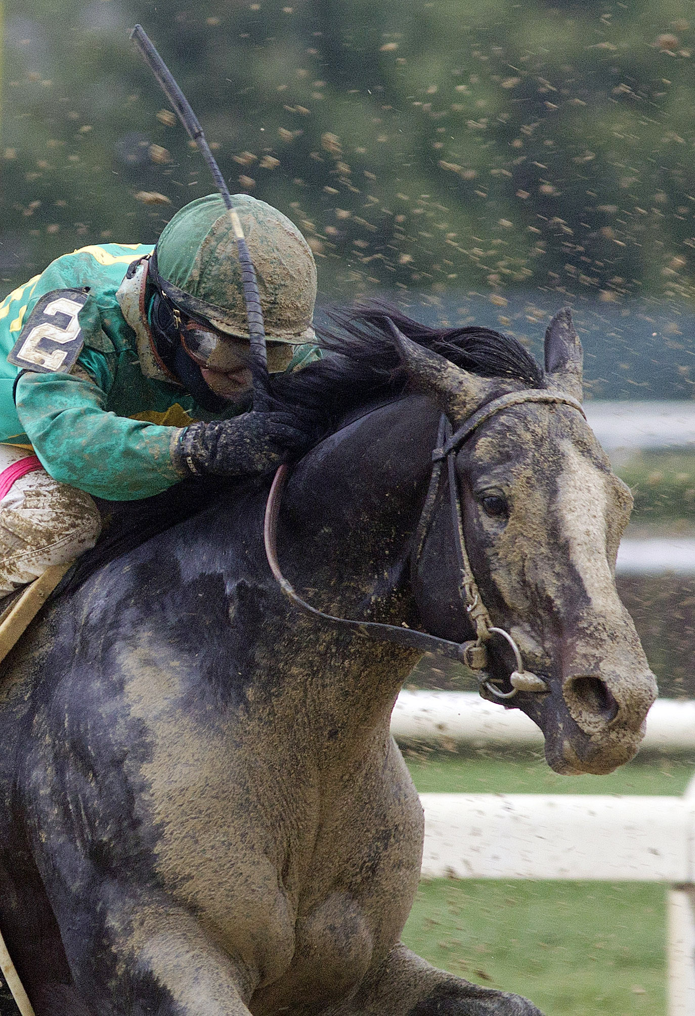 Honor Code finishes third in the Kelso