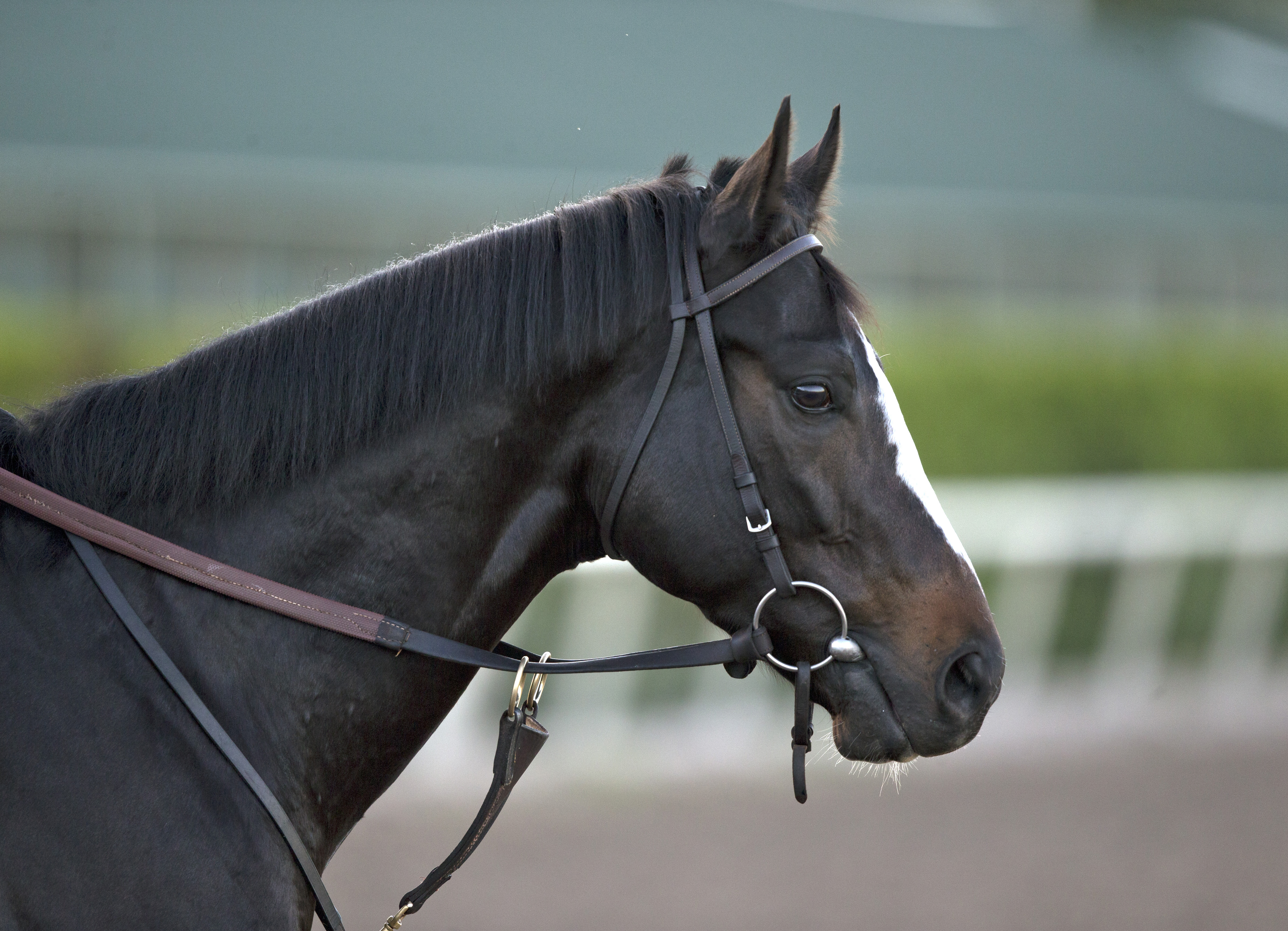 Honor Code