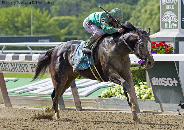 Honor Code