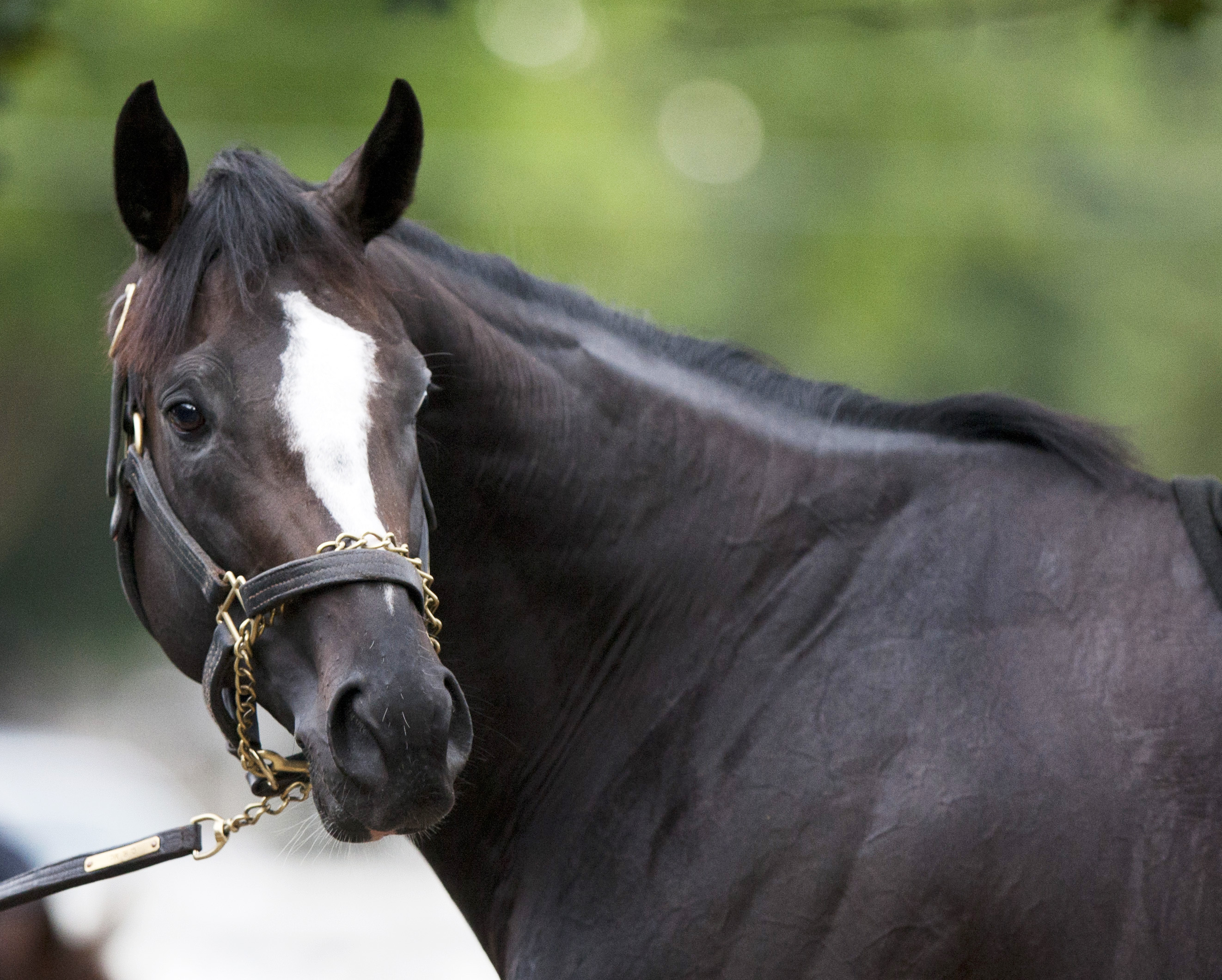 Honor Code in August 2015