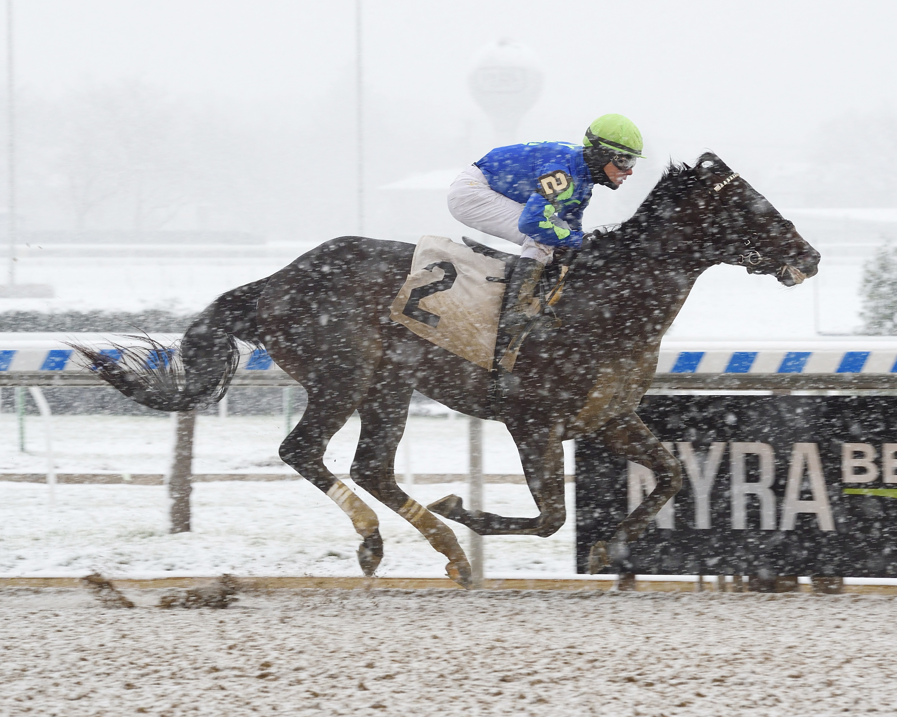 Honor Up wins a Dec. 9 maiden race