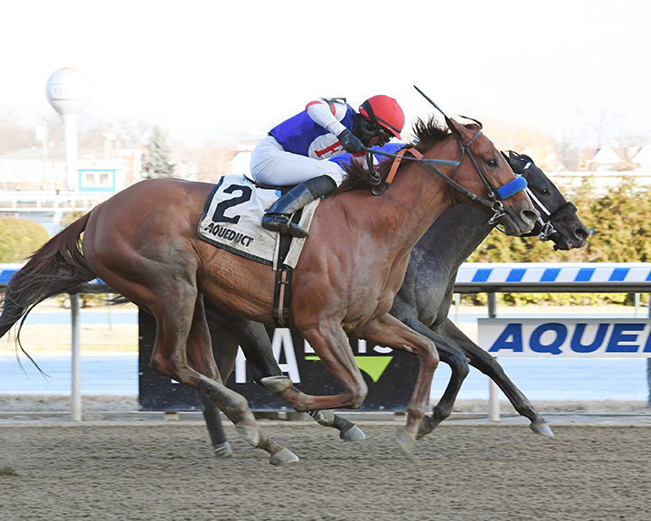 Syndergaard finishes second in the 2019 Haynesfield Stakes