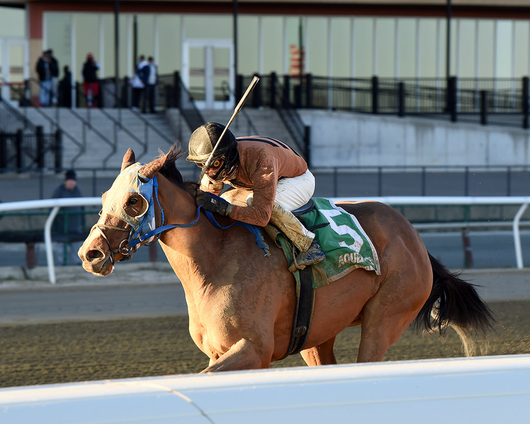 Honor Way wins the 2020 Garland of Roses at Aqueduct Racetrack