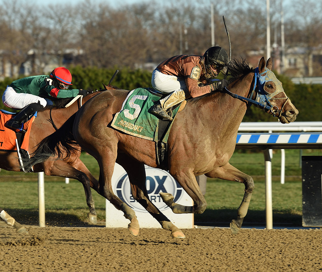 Honor Way wins the 2020 Garland of Roses at Aqueduct Racetrack